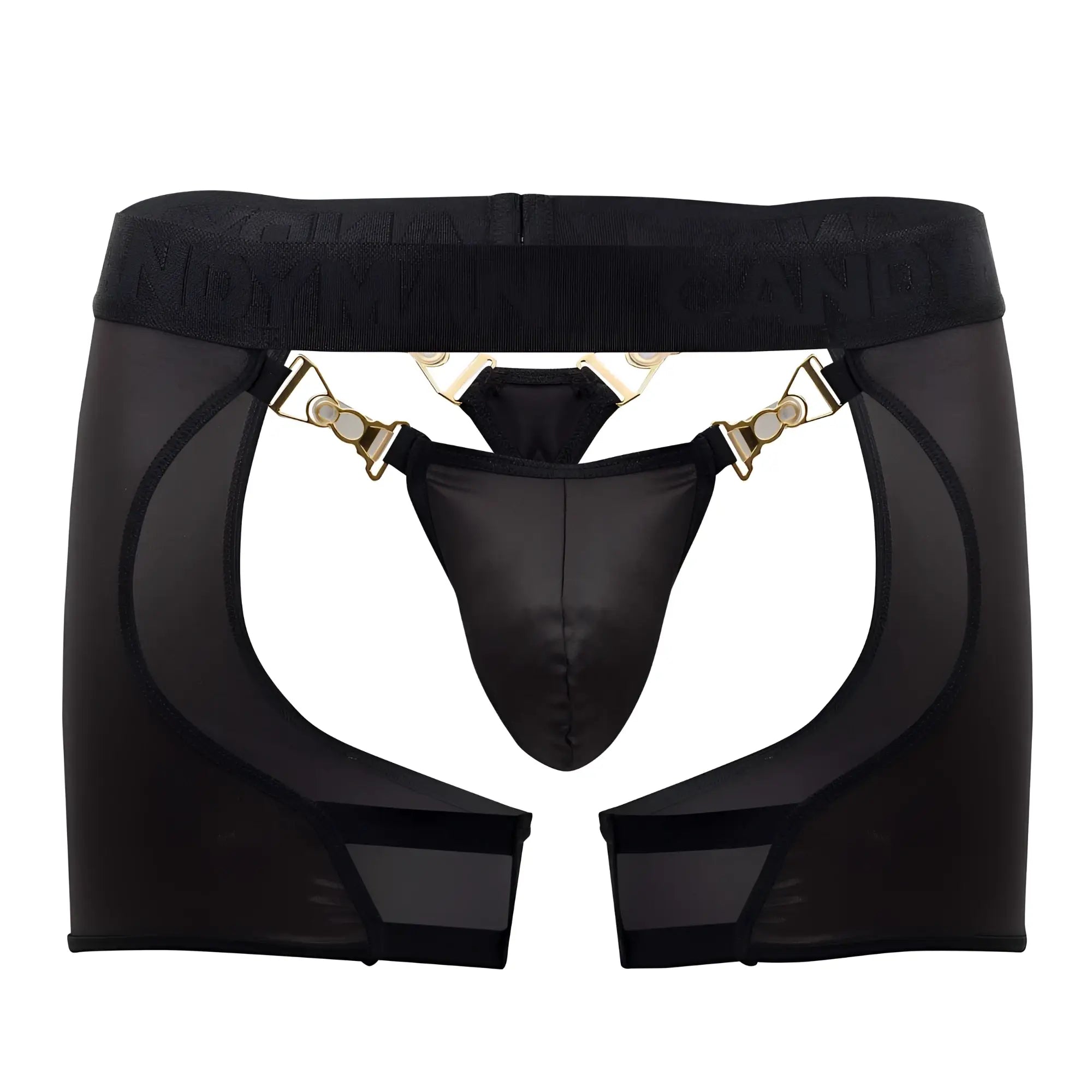 Black sheer mesh garter belt with gold tone clasps and central black thong candy man 99637 chaps thongs black