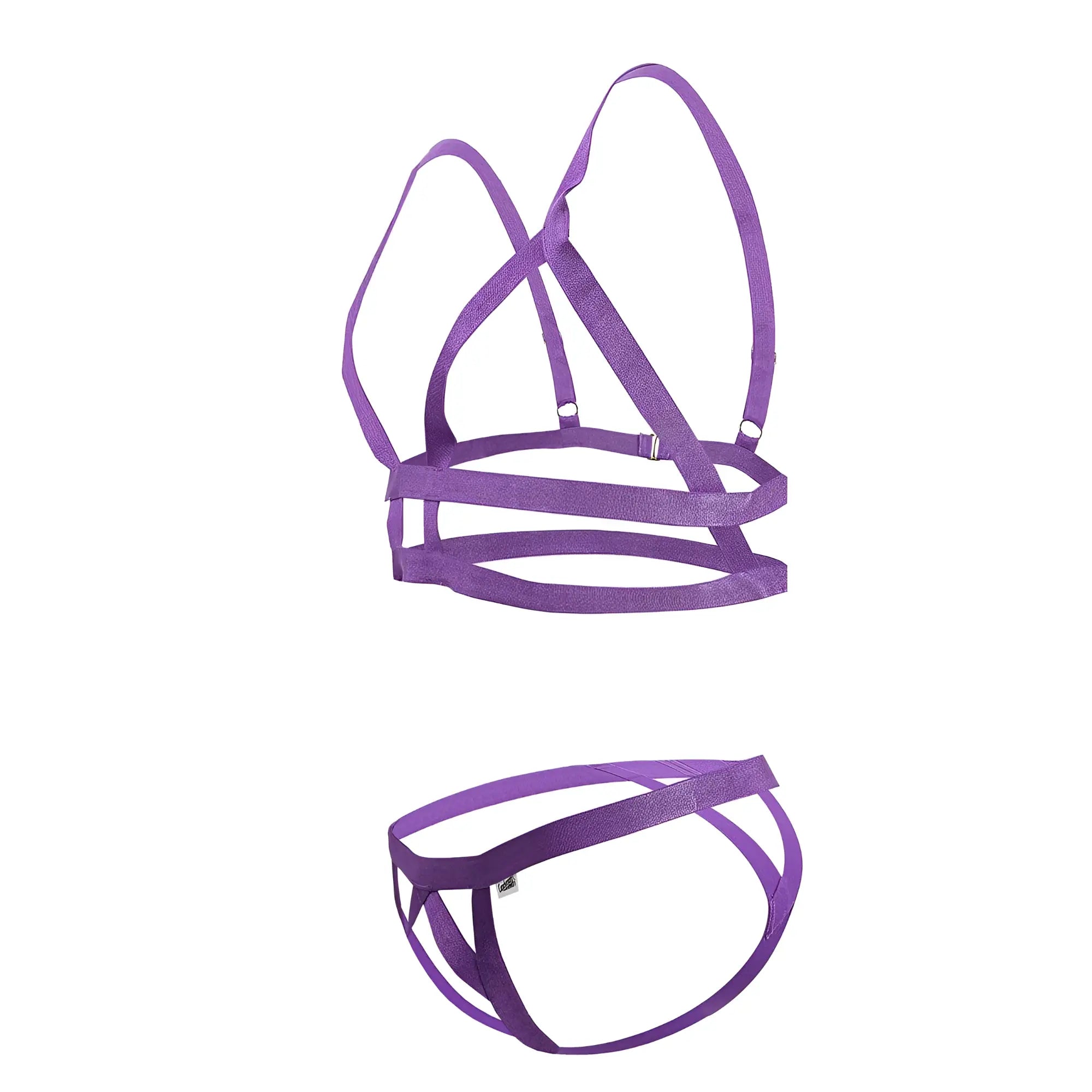 Purple satin harness set with adjustable straps and metallic clasps from candyman 99822 two piece outfit color violet