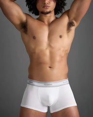 White classic cotton trunk boxer briefs with gray elastic waistband featuring black brand name lettering