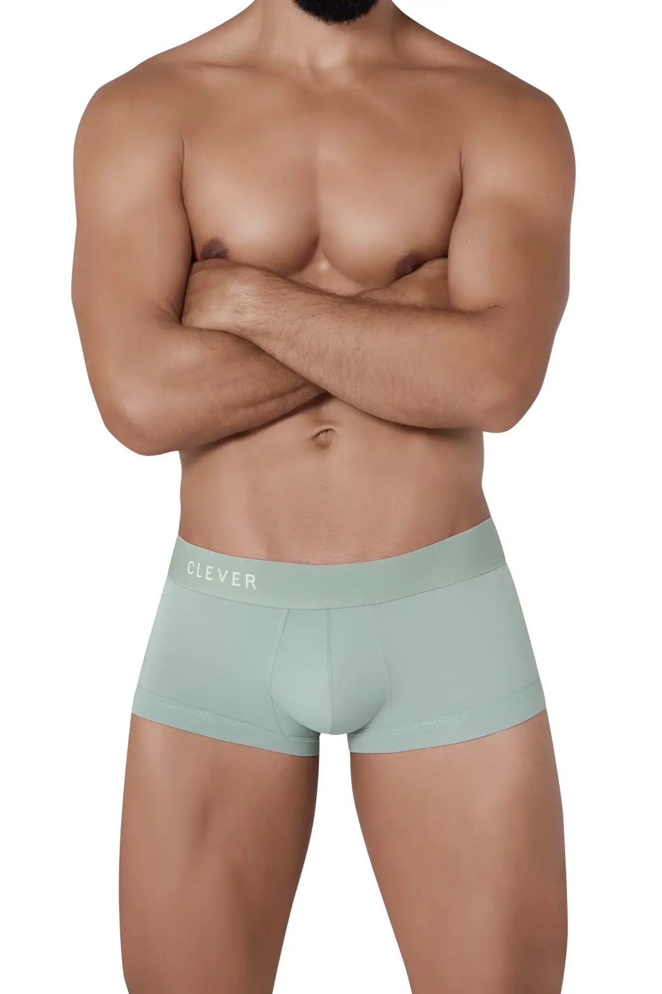 Mint green cotton briefs with a subtle clever logo on the waistband from clever 1306 tribe trunks color green
