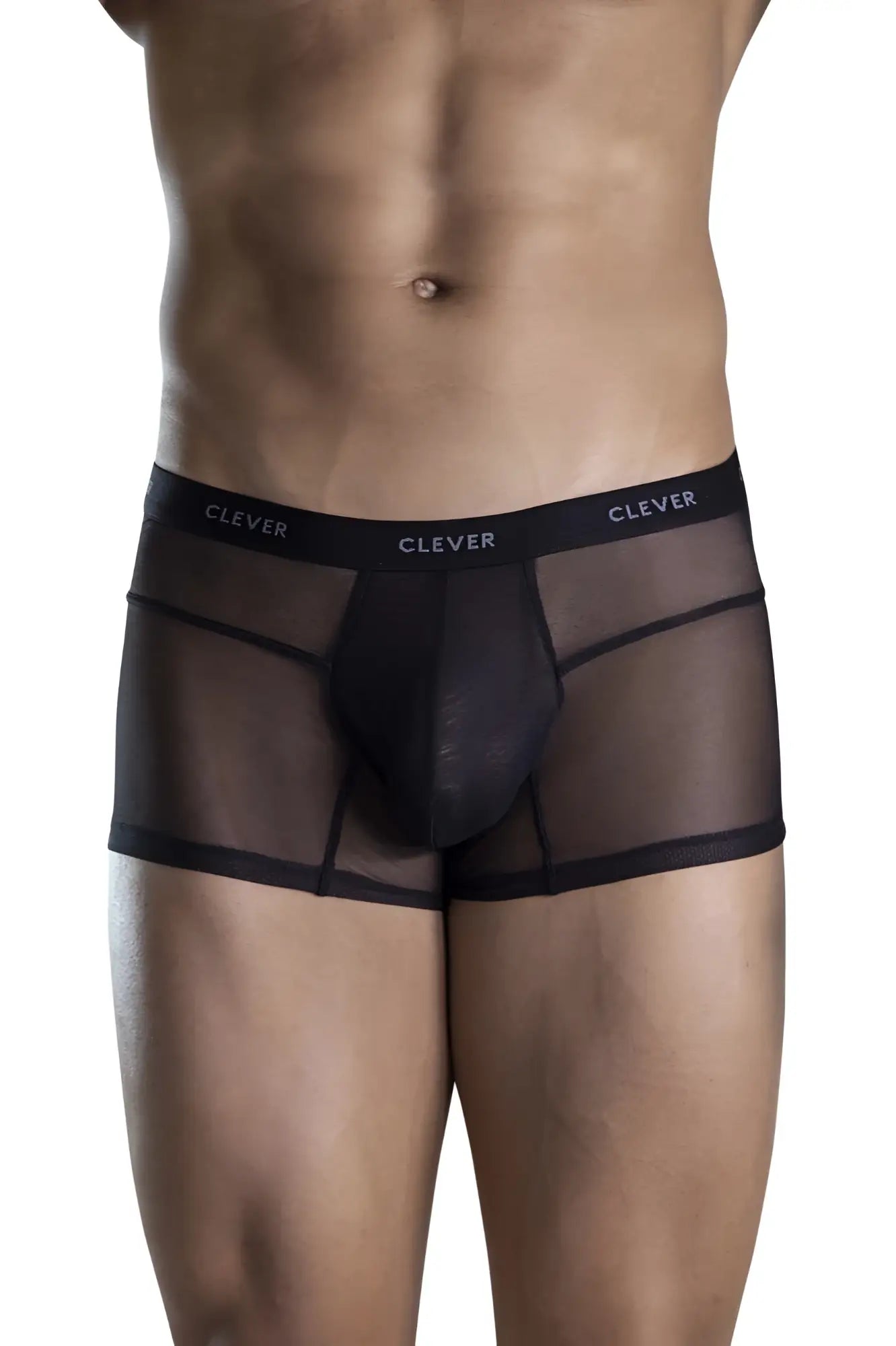 Black clever 1673 legend trunks sheer mesh briefs with solid inner panel and elastic waistband in black color