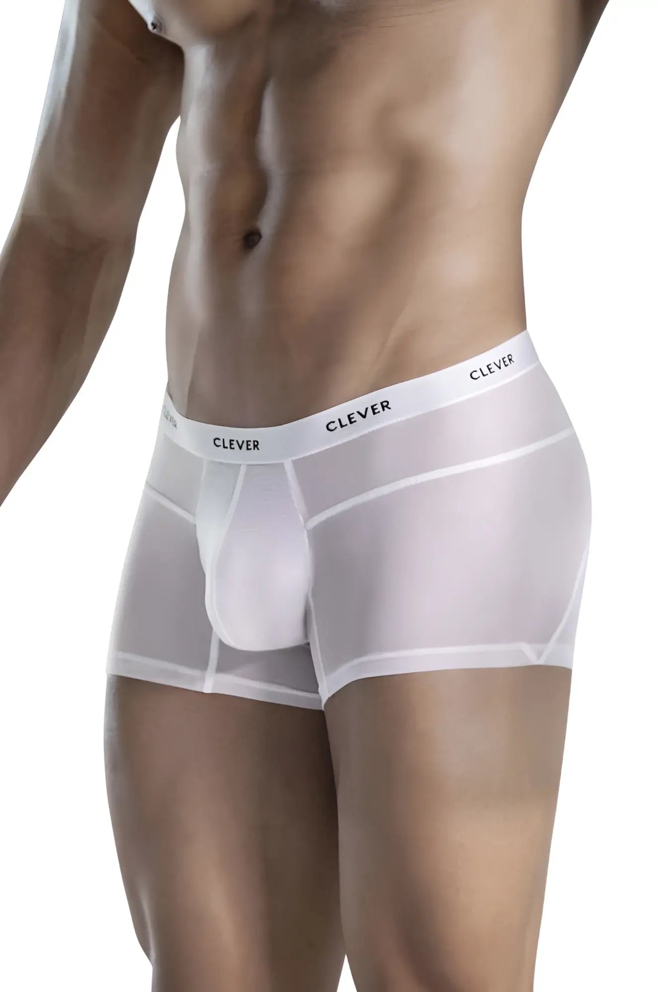 White sheer boxer briefs clever 1673 legend trunks with supportive pouch and clever branding on waistband