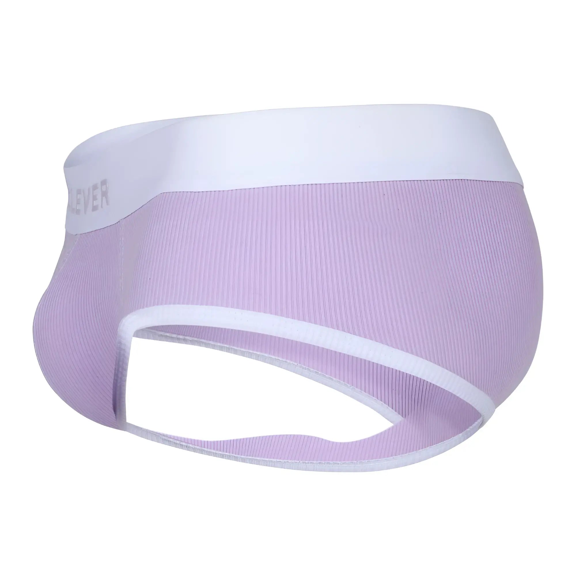 Lavender clever 1733 ribbed mesh briefs with white elastic waistband and trim in lilac color front view