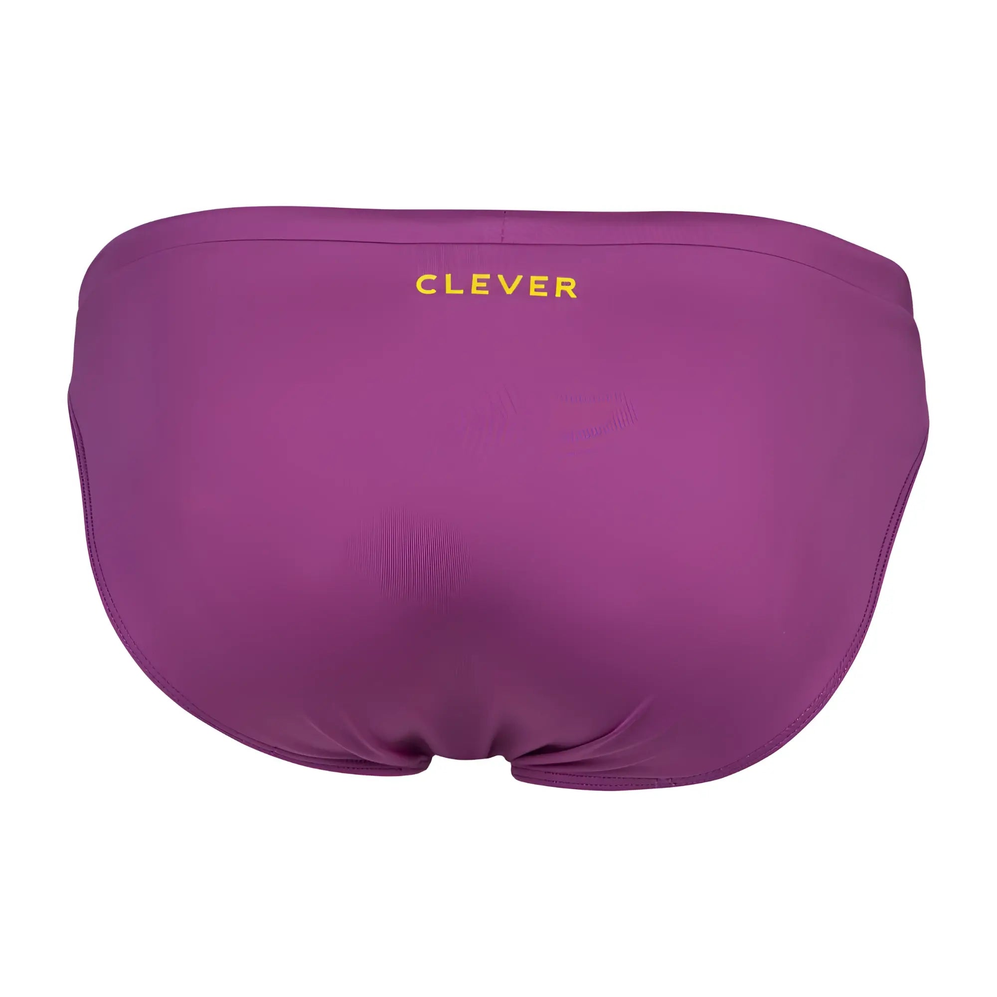 Purple clever 1735 vivo swim briefs with subtle textured fabric and gold embroidered waistband logo in grape color
