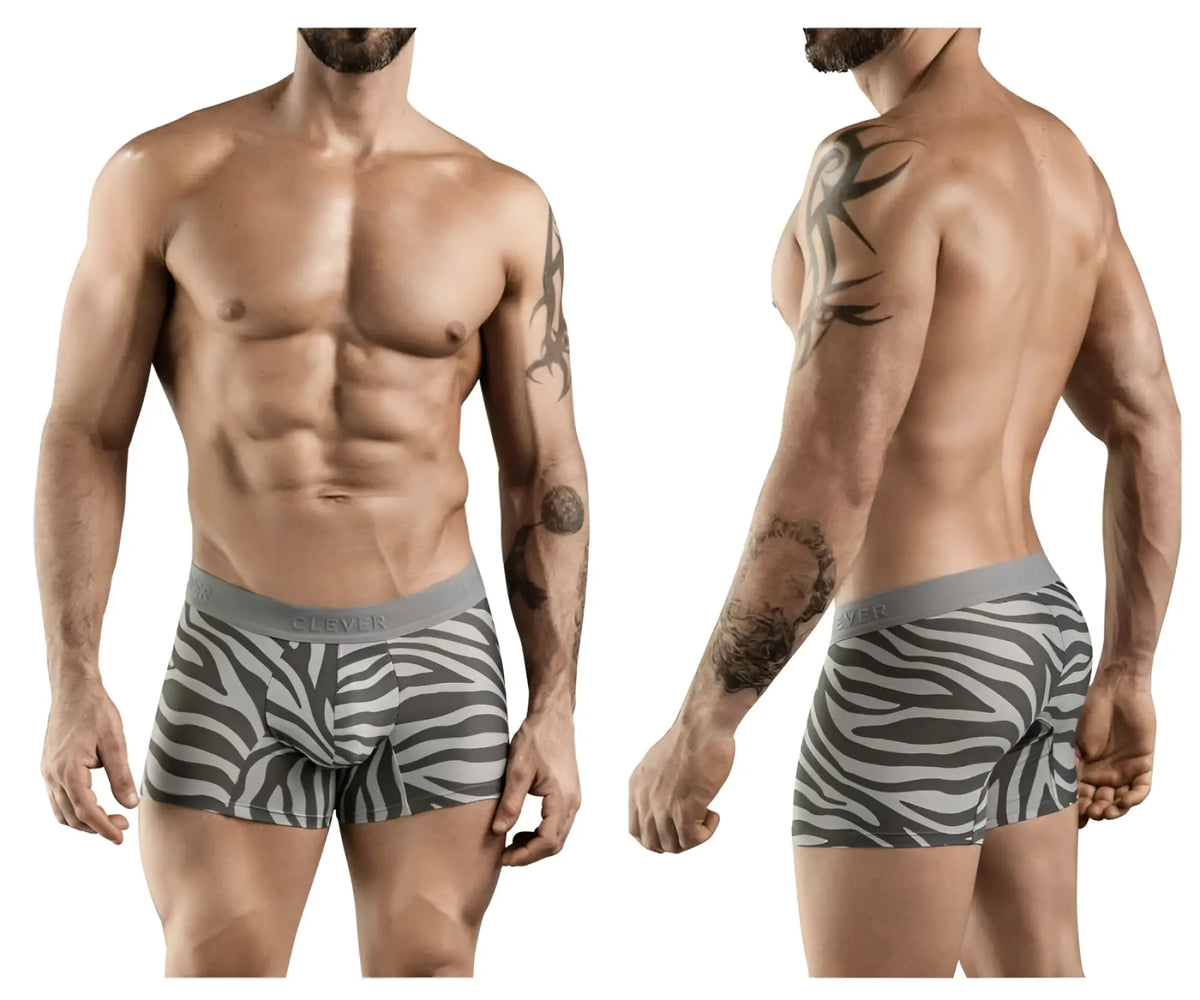 Gray and white zebra-striped boxer briefs with gray elastic waistband clever 1800 cebra trunks color gray front view