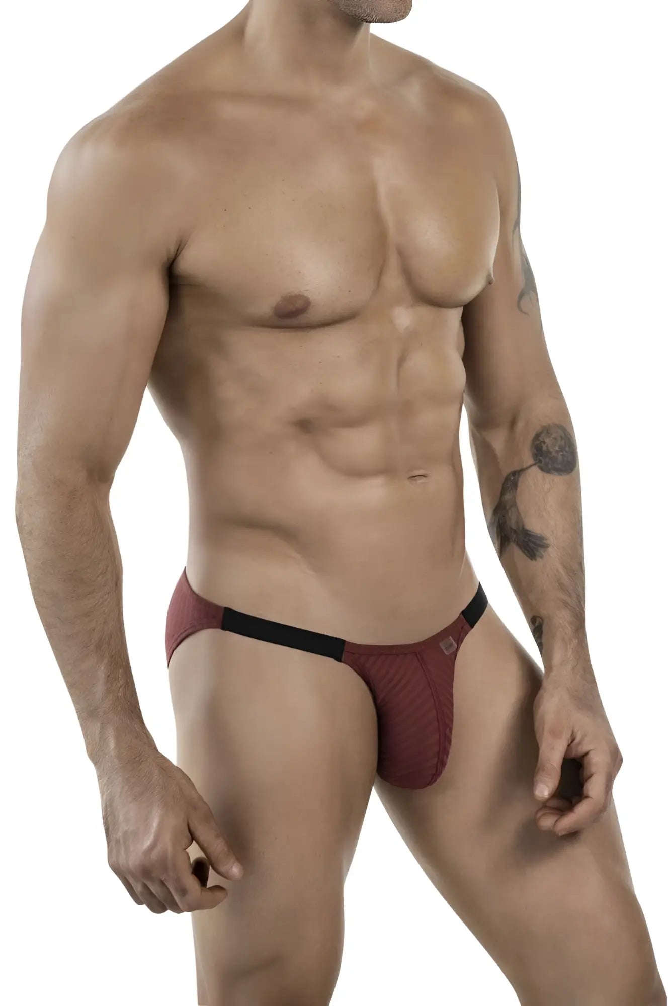Maroon and black textured briefs with sleek modern design from clever 1846 mantra bikini color grape collection
