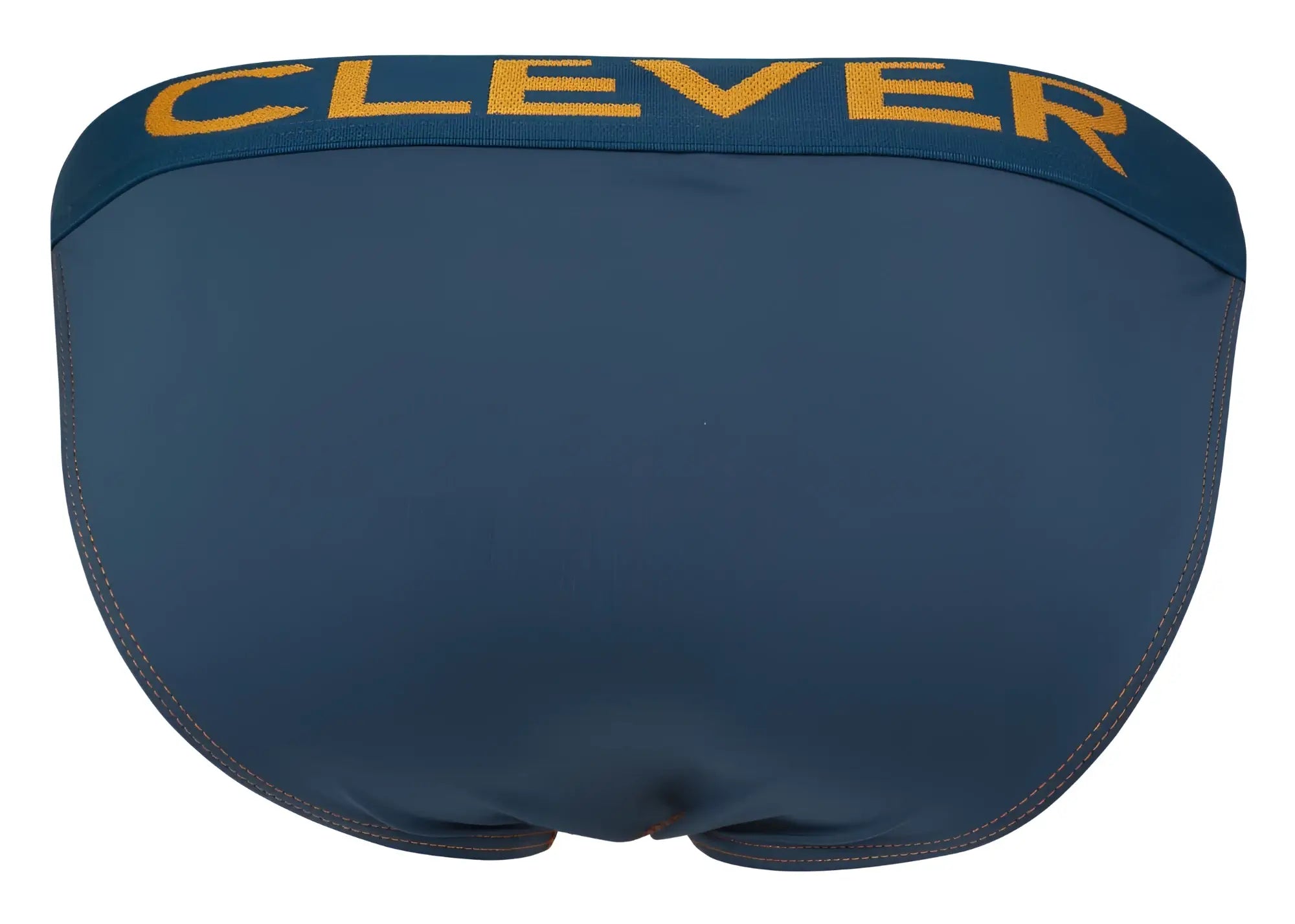Dark blue men’s briefs with a yellow clever logo on the waistband from clever 2009 earthskin bikini color petrol green collection