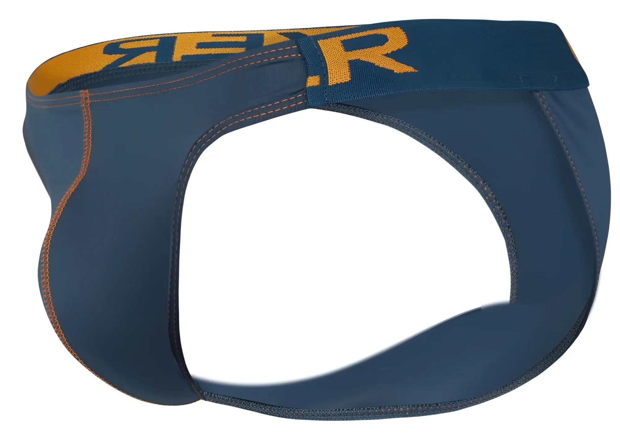 Navy blue and gold cleverly branded briefs with snug fit design from clevers 2009 earthskin bikini color petrol green collection