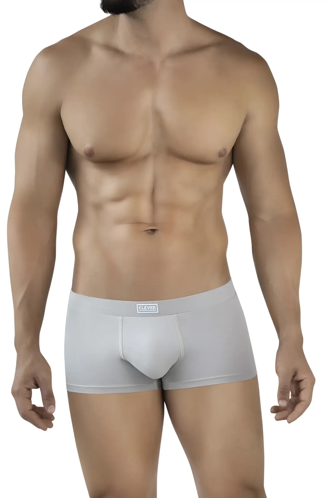 Light gray seamless clever 2047 cordoba trunks with a subtle clever brand label on the waistband color sand