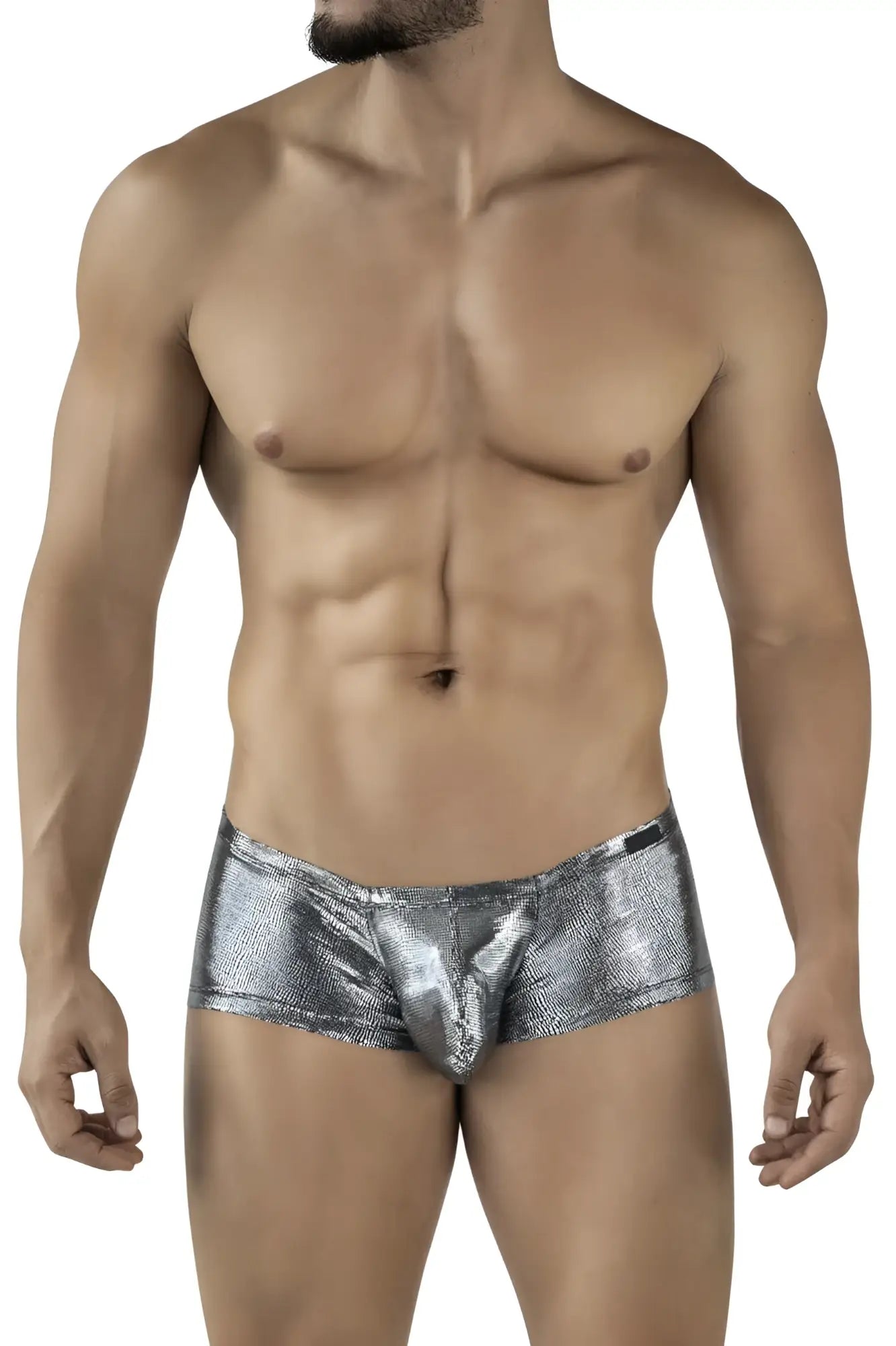 Shiny silver metallic briefs clever 2058 sparkles trunks black with textured reflective surface front view