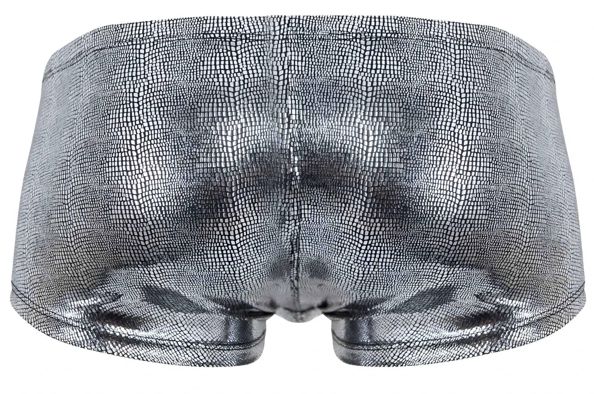 Silver metallic briefs with a textured crocodile skin pattern in clever 2058 sparkles trunks color black