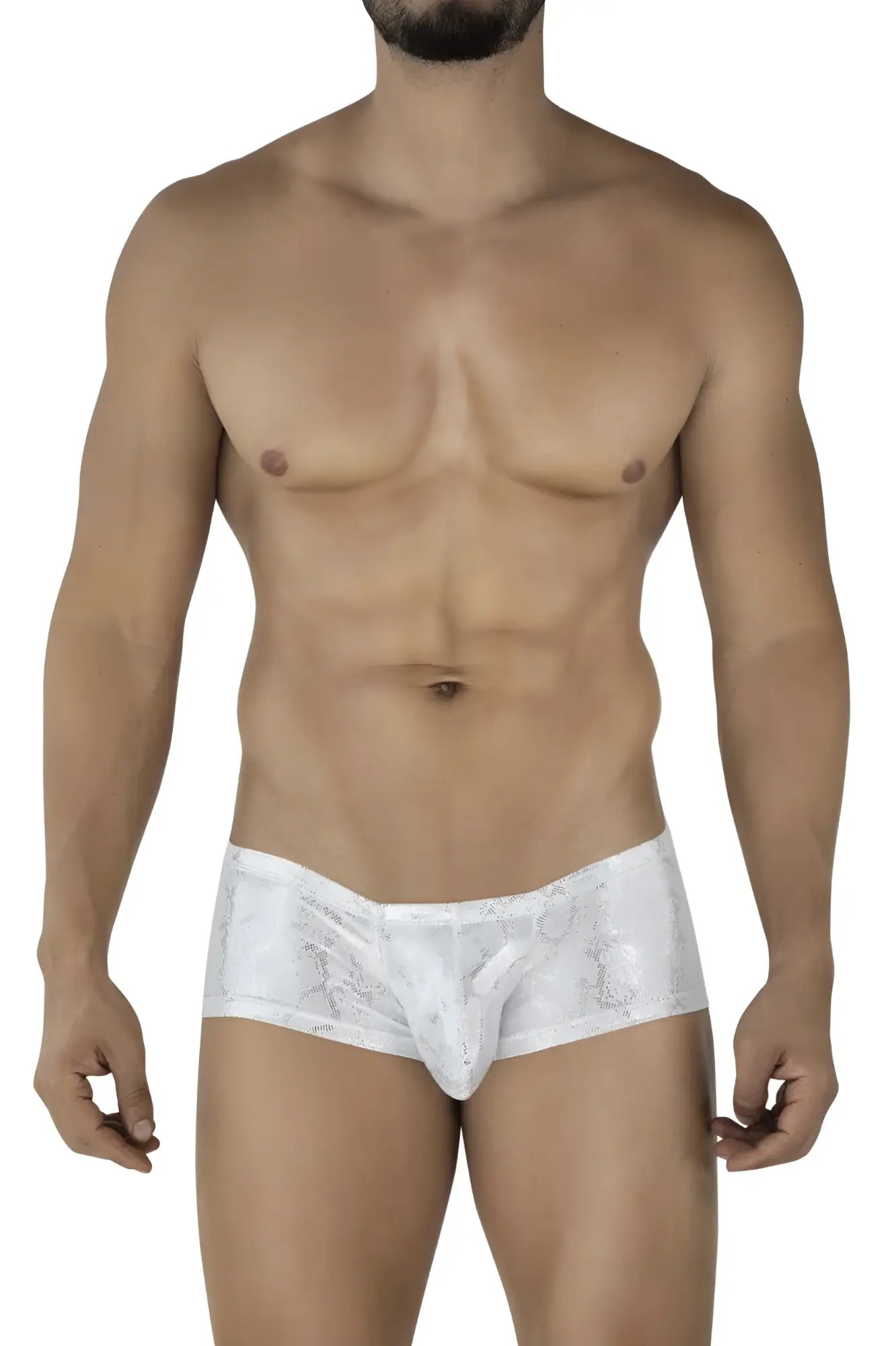Clever 2061 diamond trunks silver white lace-trimmed briefs with subtle shimmering pattern front view