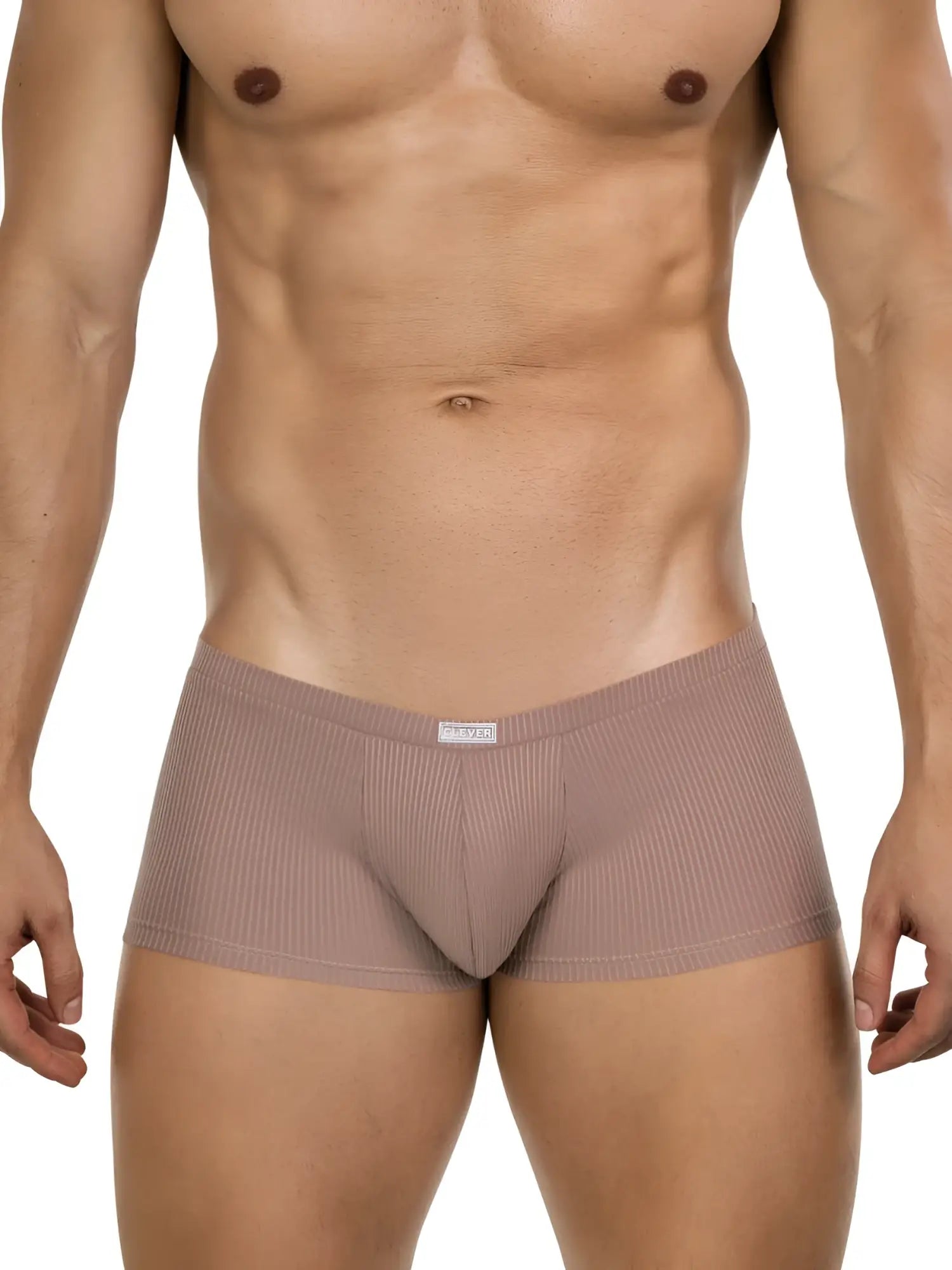Beige ribbed clever 26015 apolo trunks with subtle textured pattern and branded waistband label for sophisticated comfort