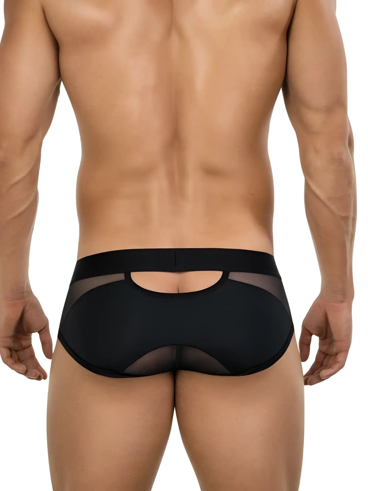 Black men’s briefs clever 26059 tanatos in bold black with sheer mesh panels and back cutout shown from back side