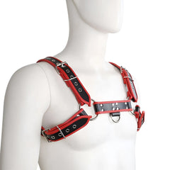 Red and black leather contrast trim harness with silver toned metal hardware for adjustable secure fit