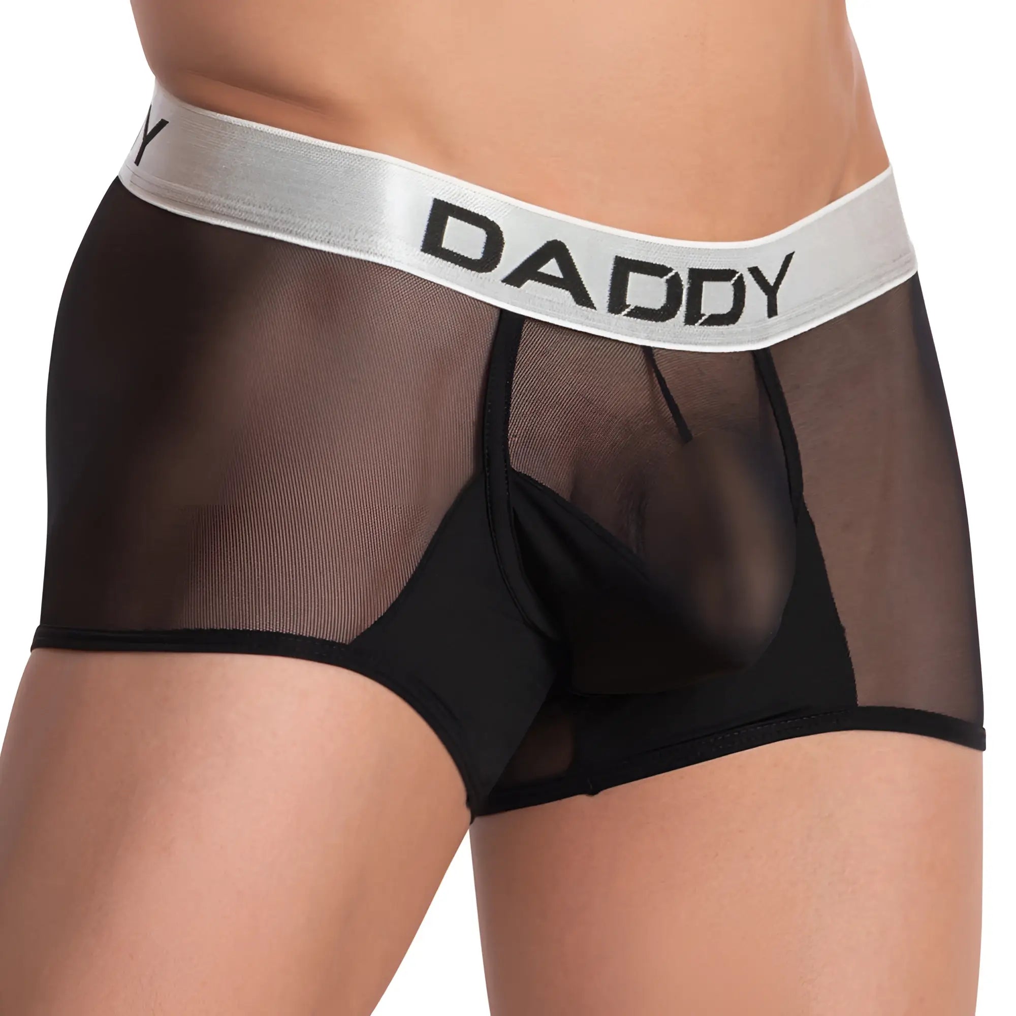 Black sheer mesh boxer briefs with a silver waistband featuring daddy in bold black lettering daddy ddg006 jockstrap