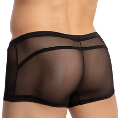 Black sheer mesh briefs with solid black waistband and side seams from daddy DDG019 boxer trunk collection