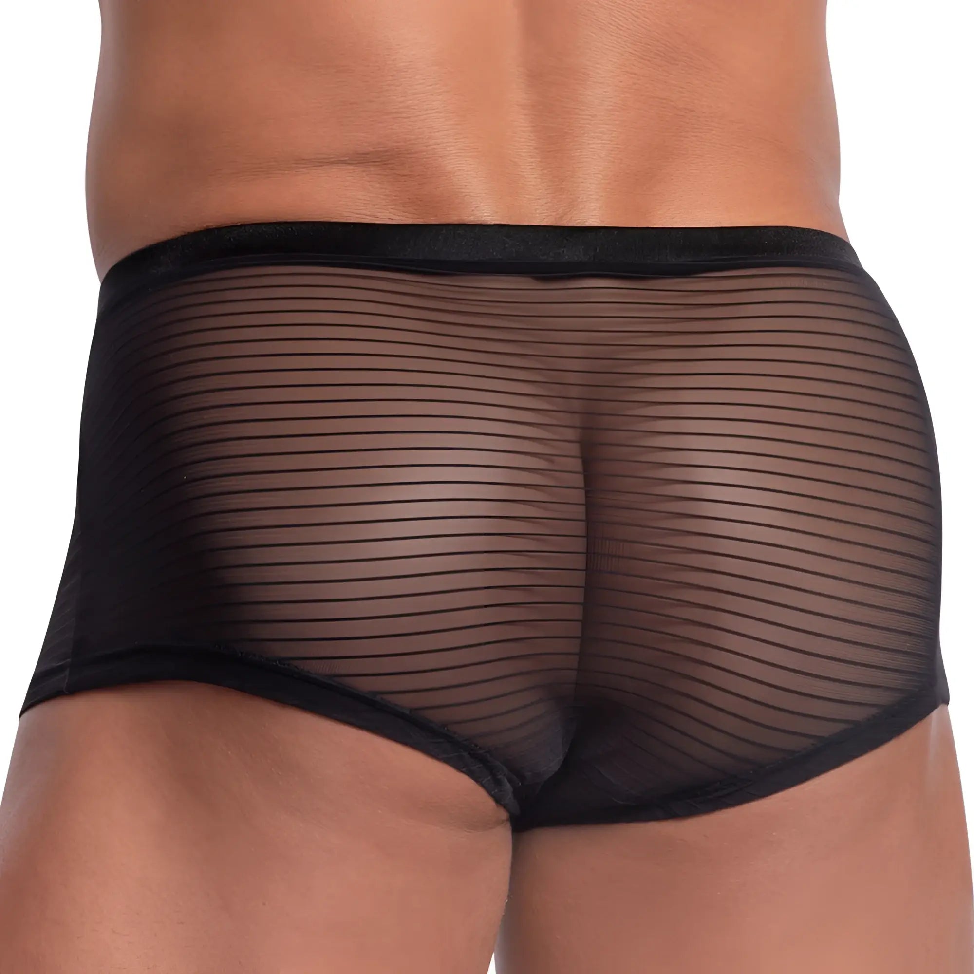 Black sheer mesh briefs with solid black elastic waistband by daniel alexander dag009 boxer trunk