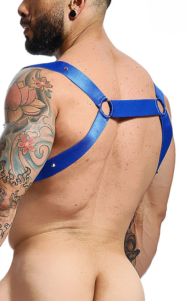 Blue satin strap dngeon straight back harness with circular metal rings for adjustable fit