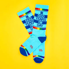 Light blue crew socks with bold navy stripes rainbow accents and the phrase in dog years im gay in navy lettering