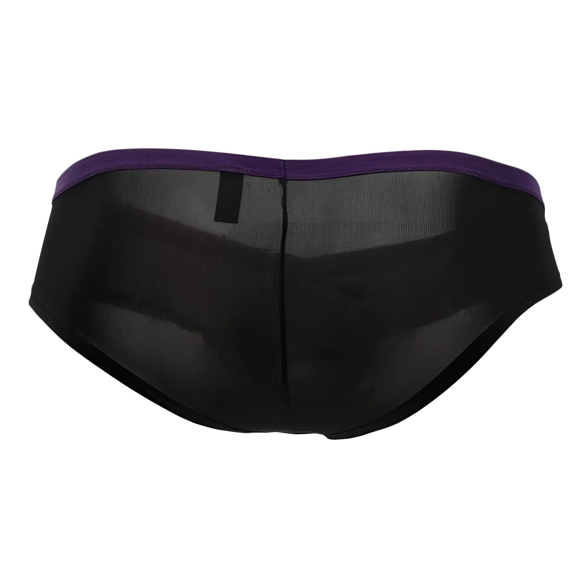 Doreanse 1377-BLK boost cheeky brief in black sheer mesh with a solid purple waistband showing front view