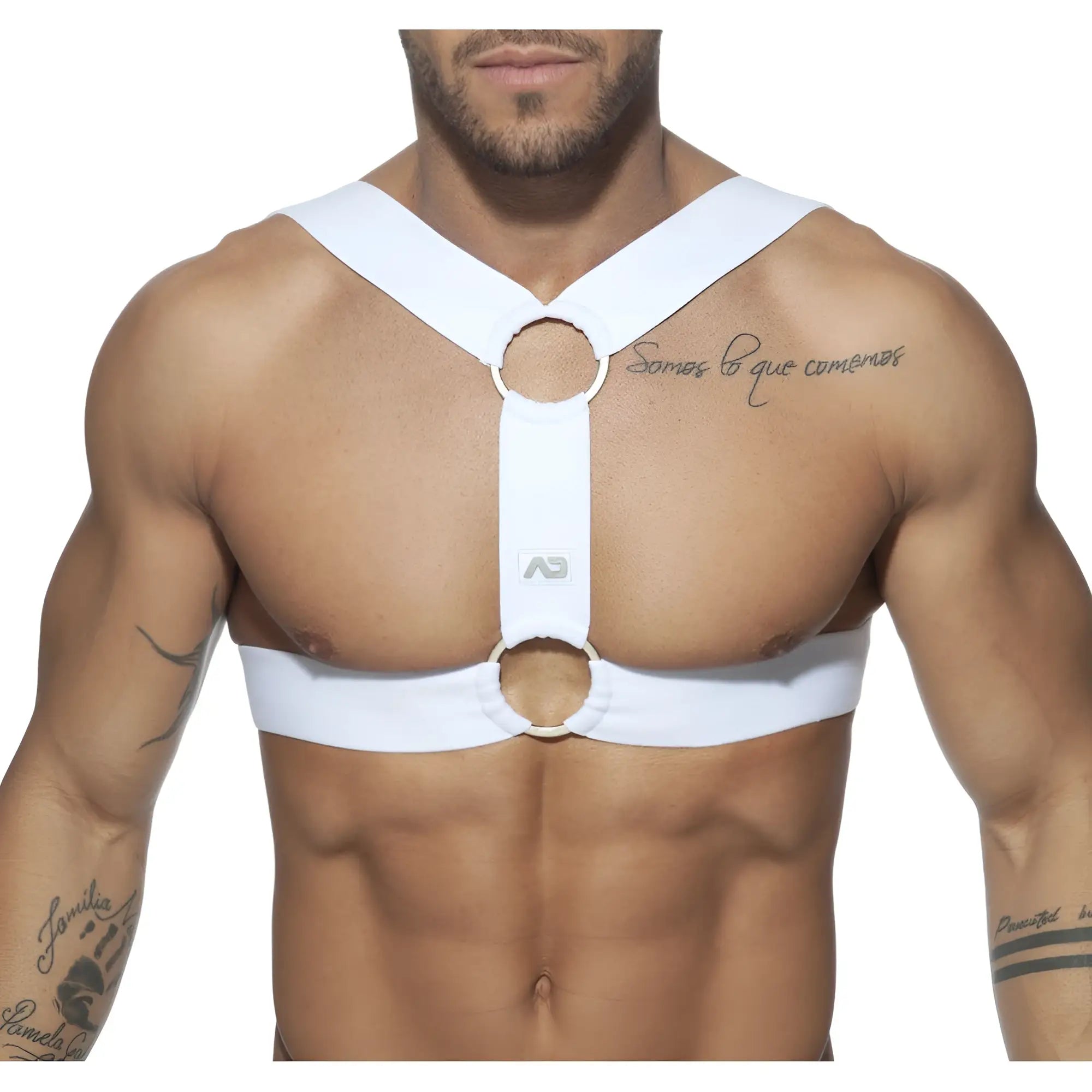 White fabric chest support harness with adjustable straps and double circular metal rings for secure fit