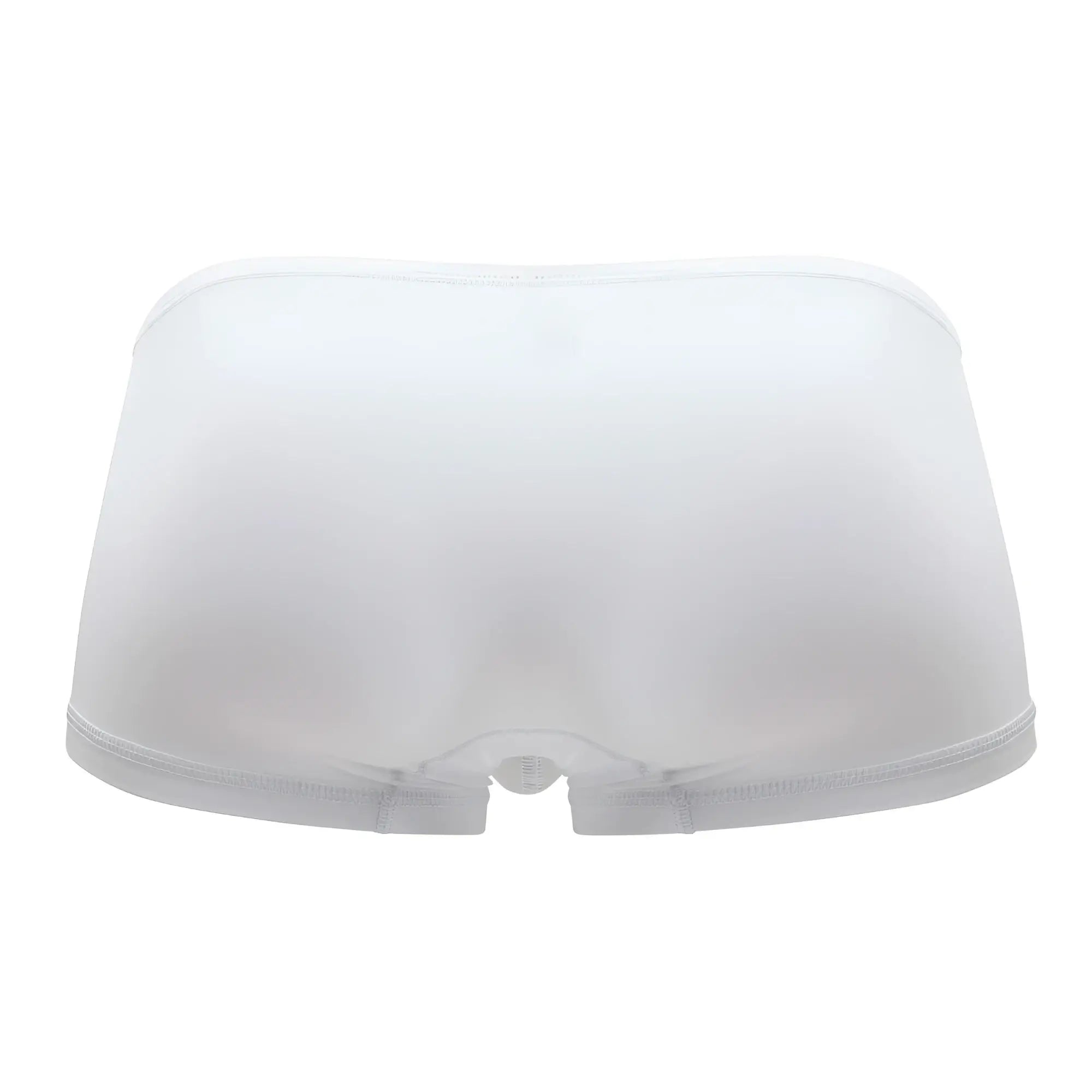 White sheer mesh briefs ergoWear ew1167 x4d trunks with seamless design and elastic waistband in white