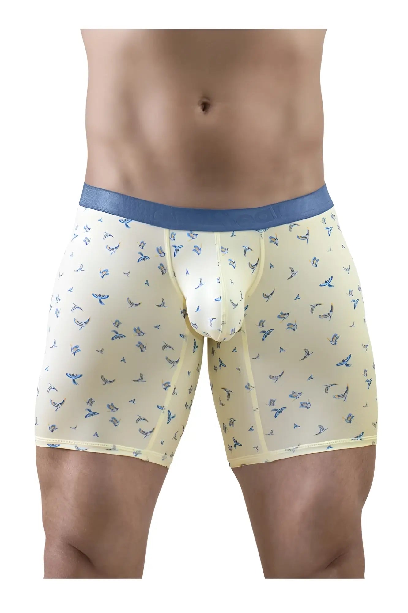 Cream-colored boxer briefs with blue waistband and small blue bird pattern from ergowear ew1771 slk se collection