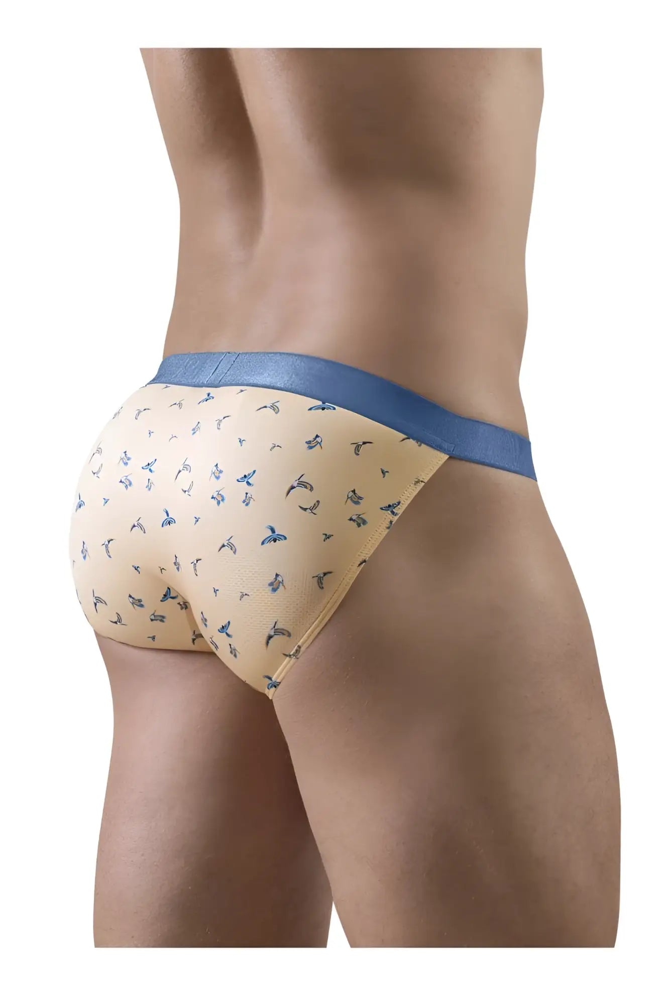Beige bikini briefs with blue trim and small bird pattern by ergowear model ew1773 slk se in peach color birds design