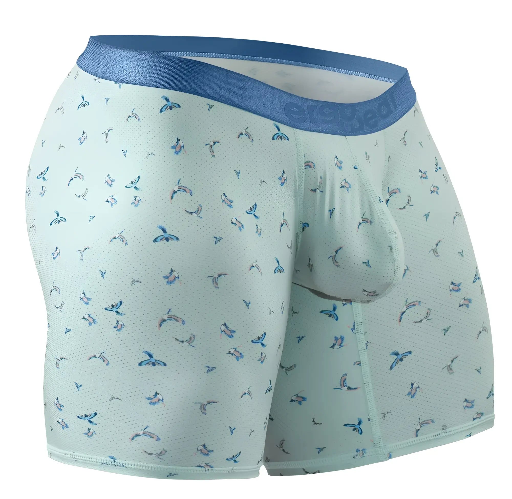 Light green ErgoWear EW1779 SLK SE boxer briefs with blue elastic waistband and small blue bird patterns frost-birds design