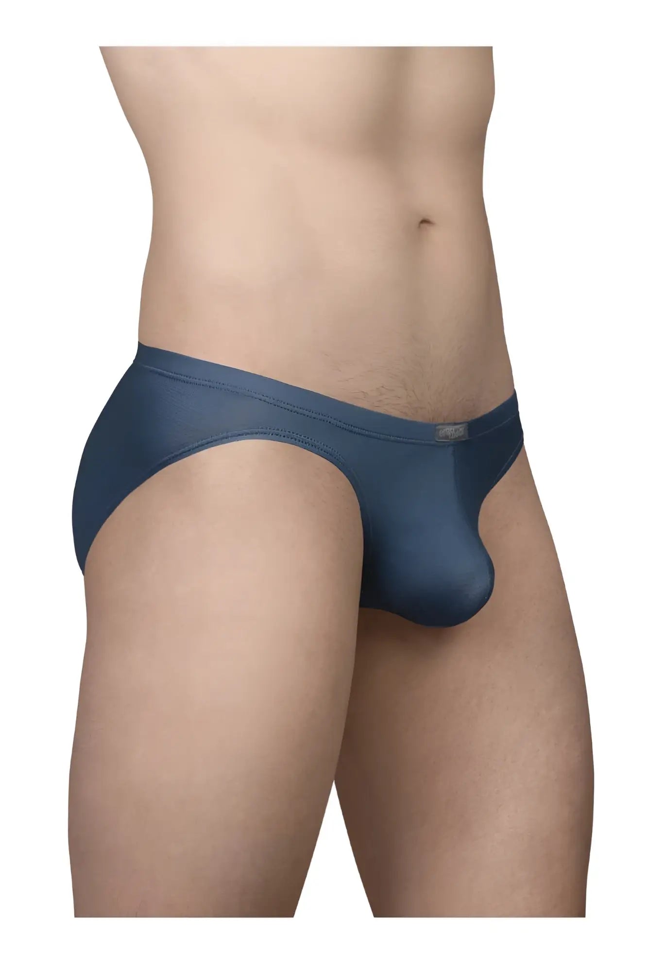 Navy blue sheer mesh briefs with a smooth form-fitting design from ergowear ew1798 x4d se bikini sea blue collection