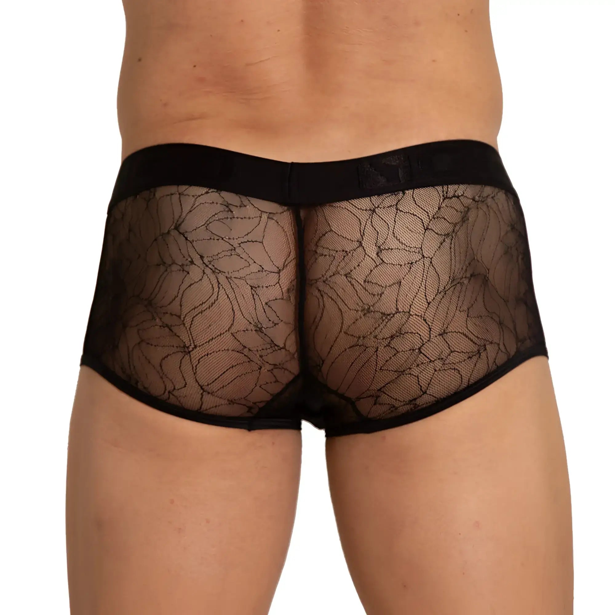 Black lace gigo amazonia trunk briefs with sheer floral pattern and solid black waistband