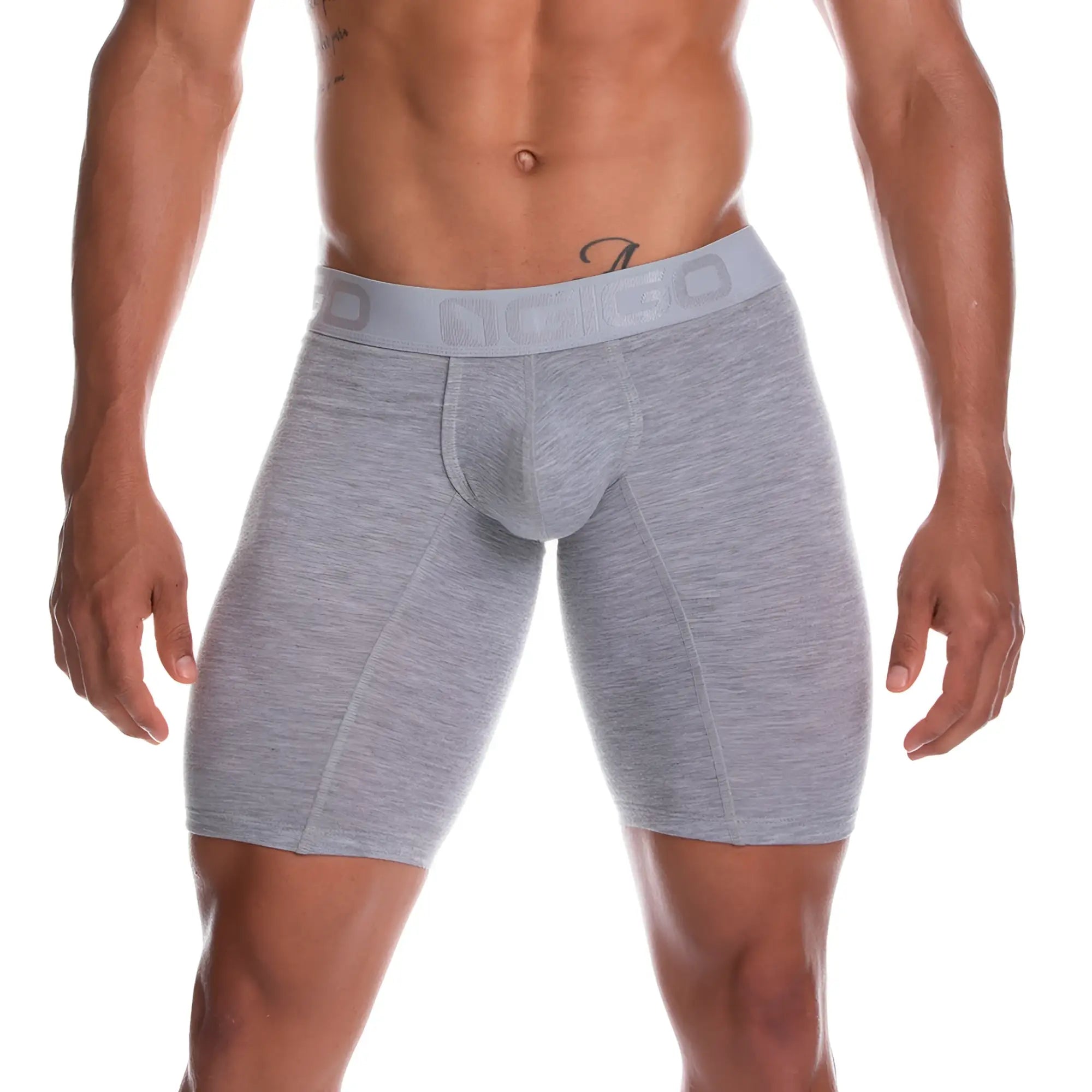 Gray heathered menâ€™s boxer briefs with matching nico elastic waistband from the gigo cautious gray trunk long line