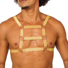 Gold glitter harness with silver metal rings from gigo hit gold harness showing front side detail