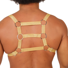 Gold glittery gigo hit harness with silver metal rings and adjustable straps shown from the back side