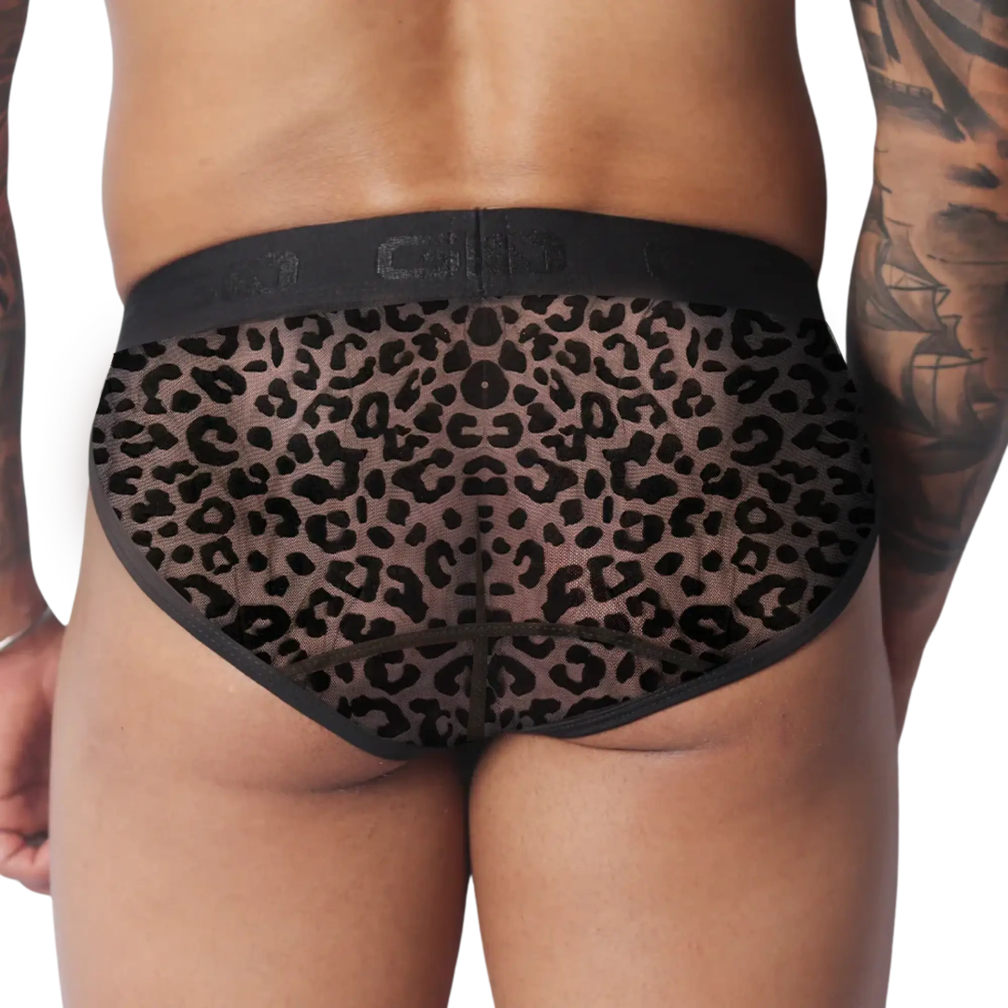 Sheer leopard print briefs with black trim and a wide, logo-branded elastic waistband.
