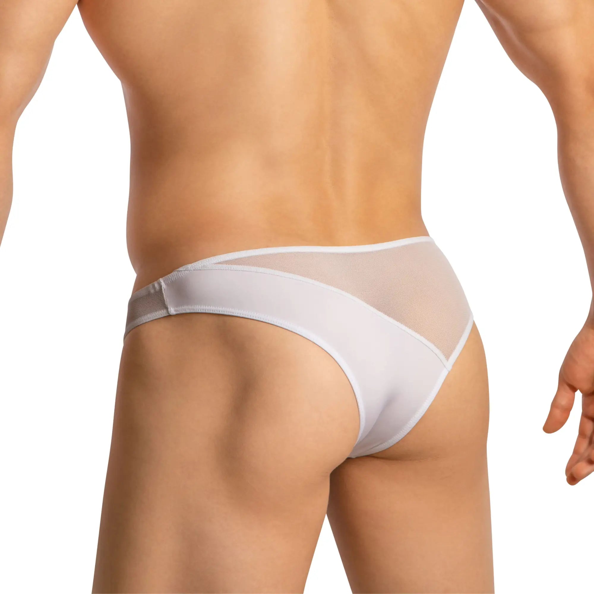 White sheer mesh thong with solid white waistband good devil gdj019 brief front view