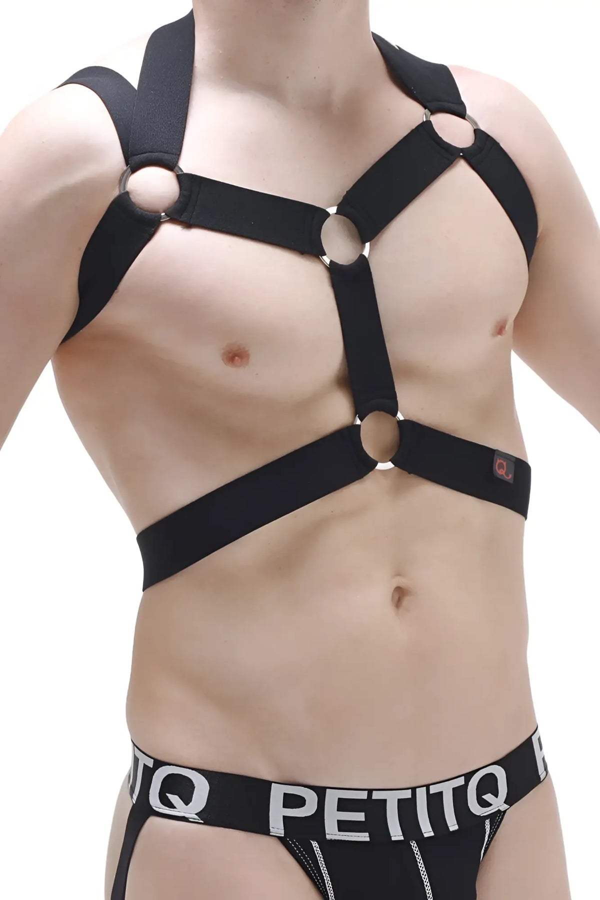 Black harness ancol with adjustable straps and silver-toned metal rings for secure and comfortable wear