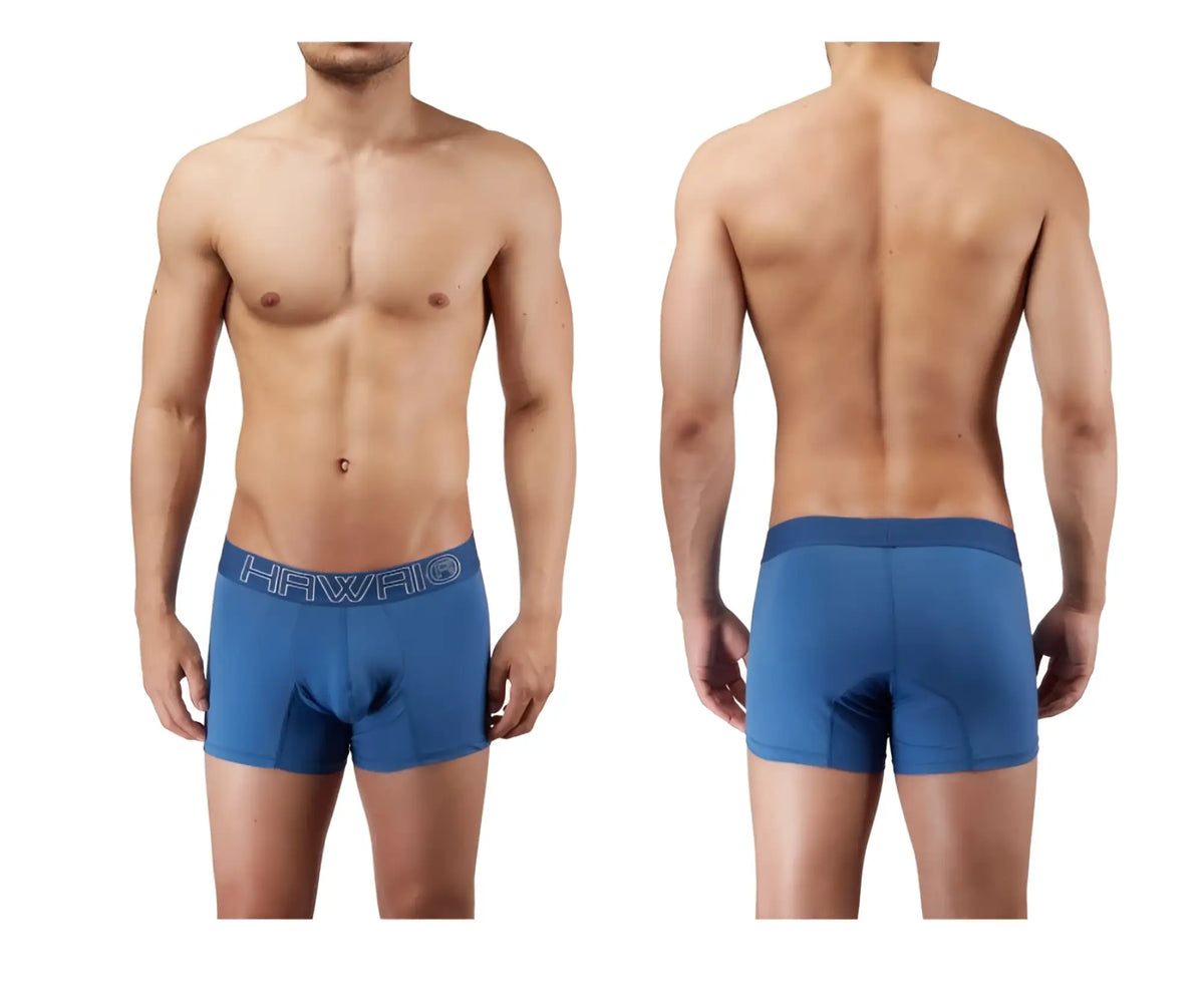 Blue quartz hawai 41948 boxer briefs with darker blue waistband and white hawaii logo for comfortable wear
