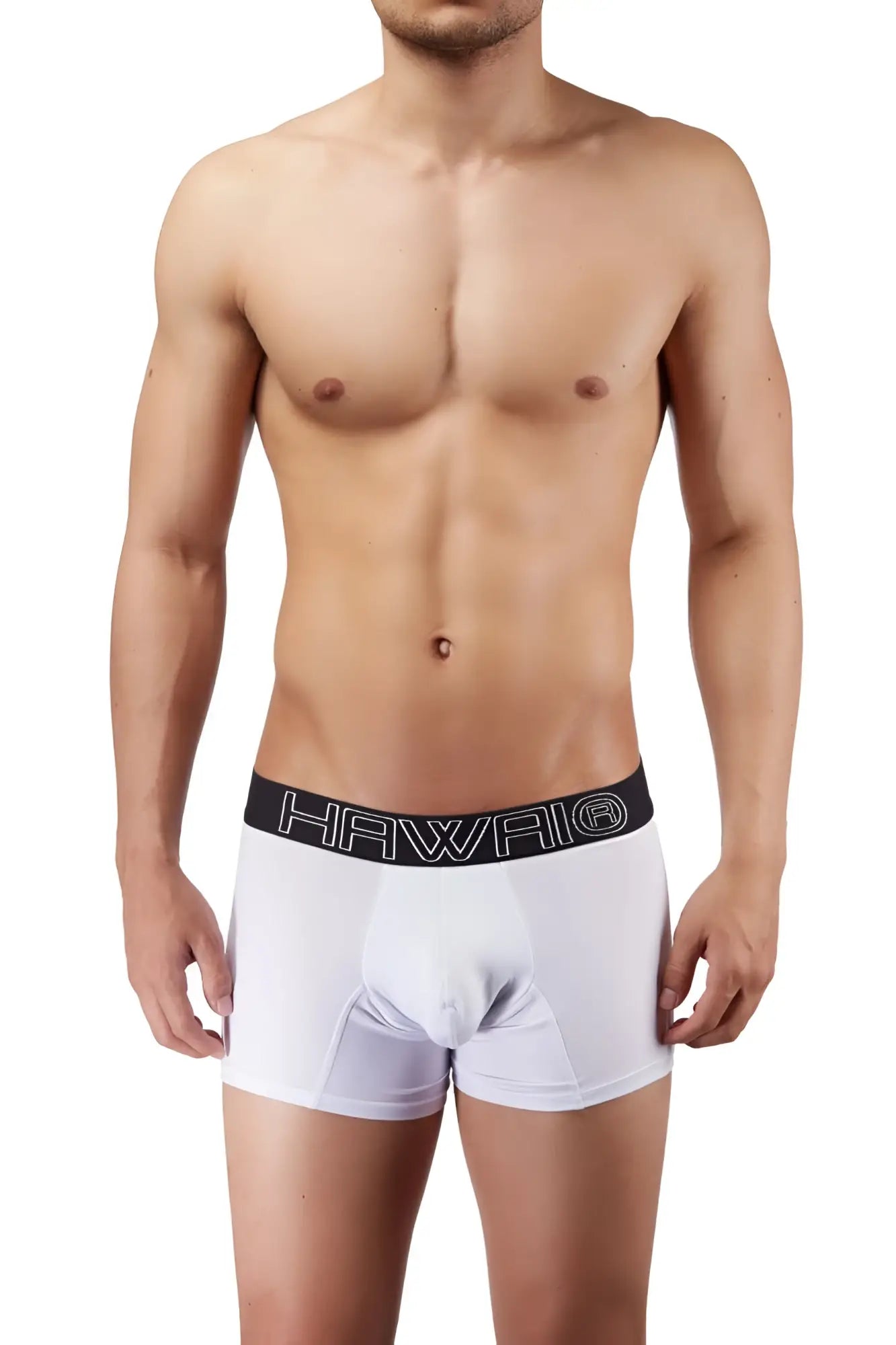 White men’s boxer briefs with a black elastic waistband featuring the hawaii logo in white lettering