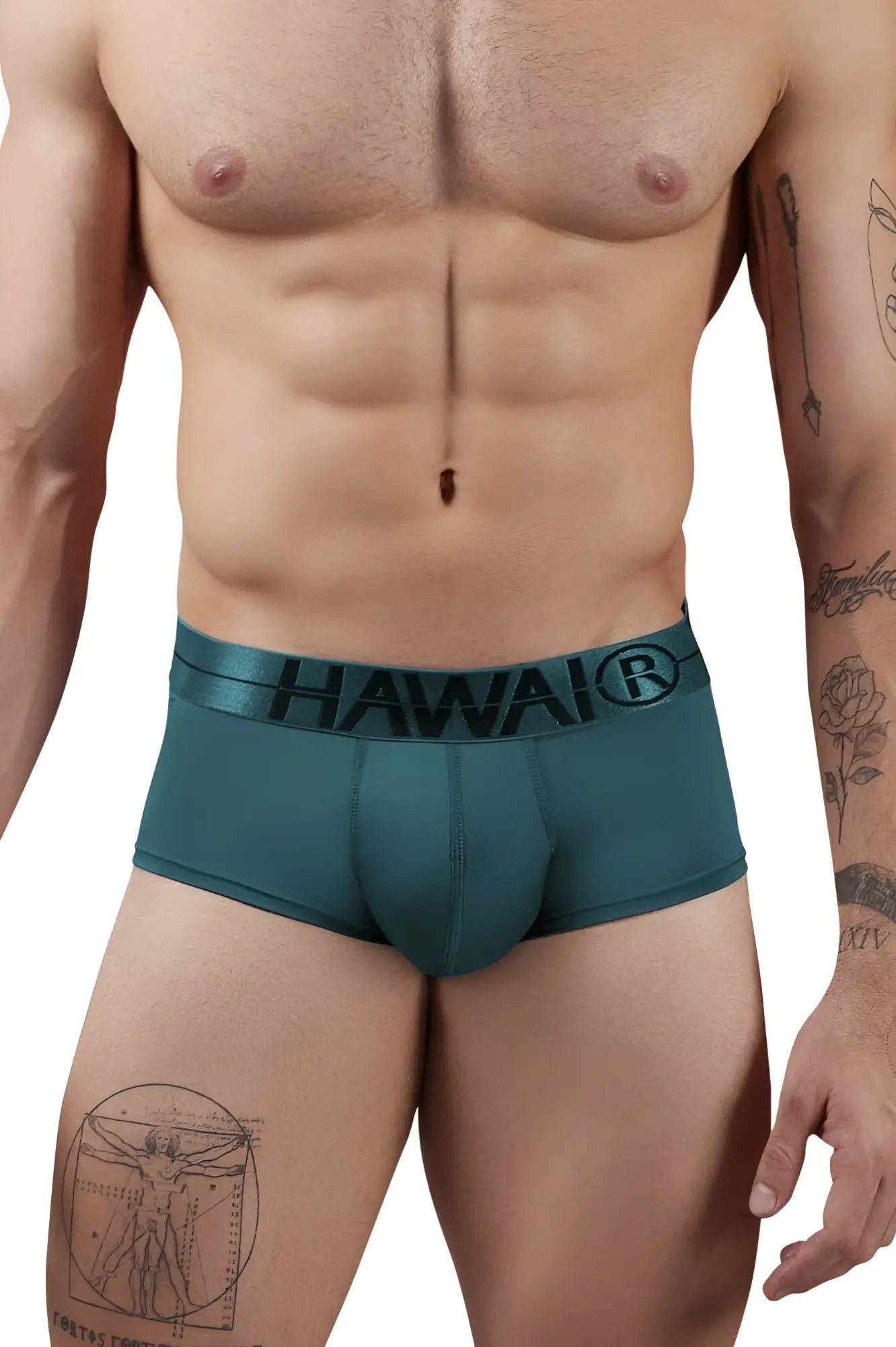 Teal microfiber men’s briefs with black hawai logo on waistband in the color green for comfortable wear