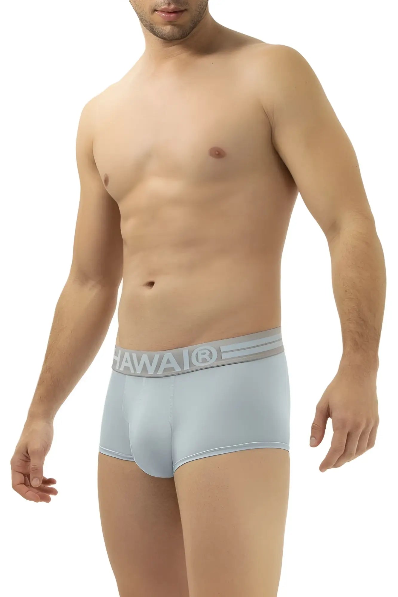 Light blue microfiber men’s briefs with gray hawaii waistband model 41961 for comfortable everyday wear