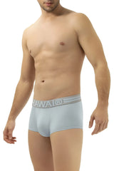 Light blue microfiber men’s briefs with gray hawaii waistband model 41961 for comfortable everyday wear