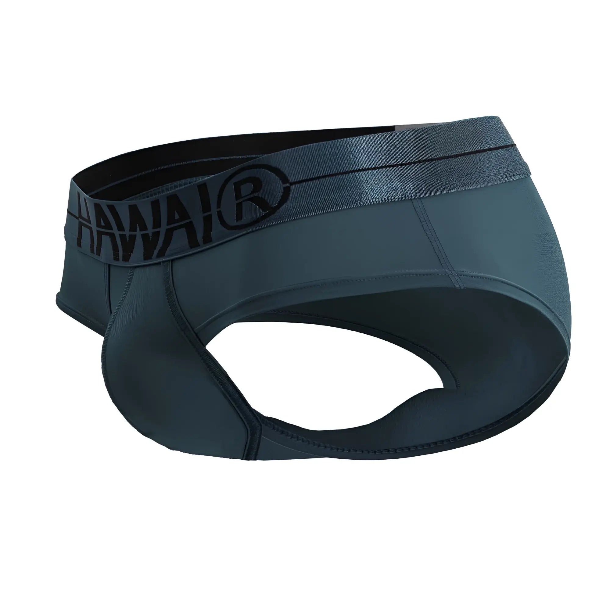 Dark gray hawai men’s microfiber briefs with black elastic waistband featuring logo in model 41963 color green