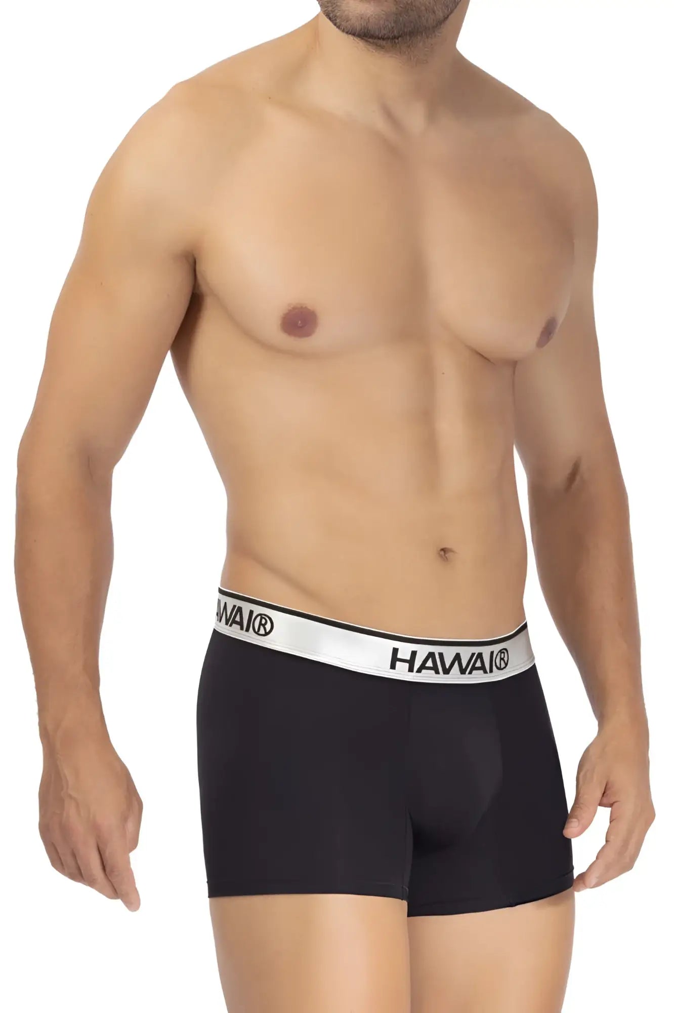 Black havaianas hawaai 42326 microfiber boxer briefs in black with a white waistband featuring the brand logo
