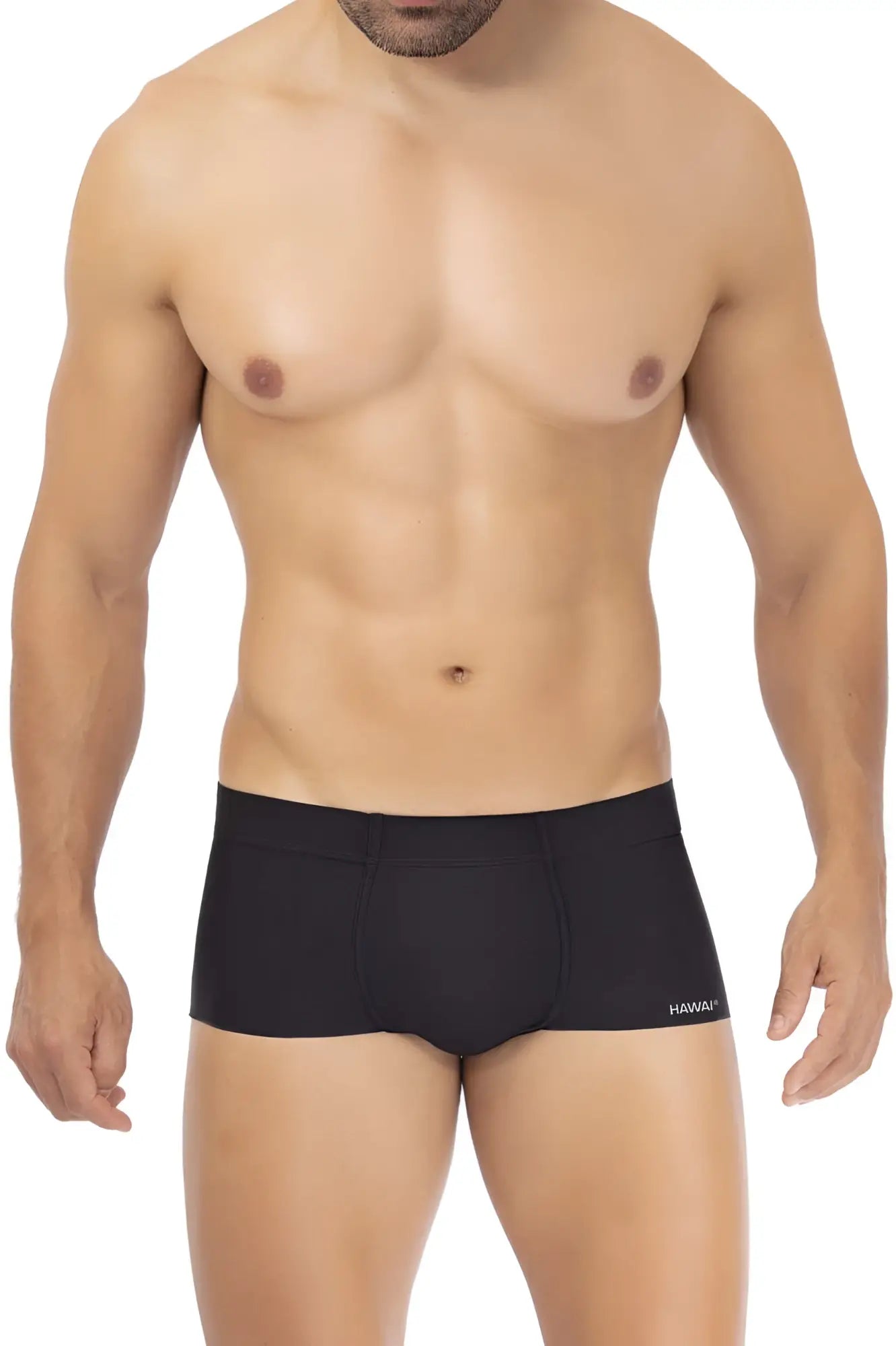 Black men’s microfiber briefs in black with a subtle hawaiian logo on the side titled hawai 42344 microfiber trunks