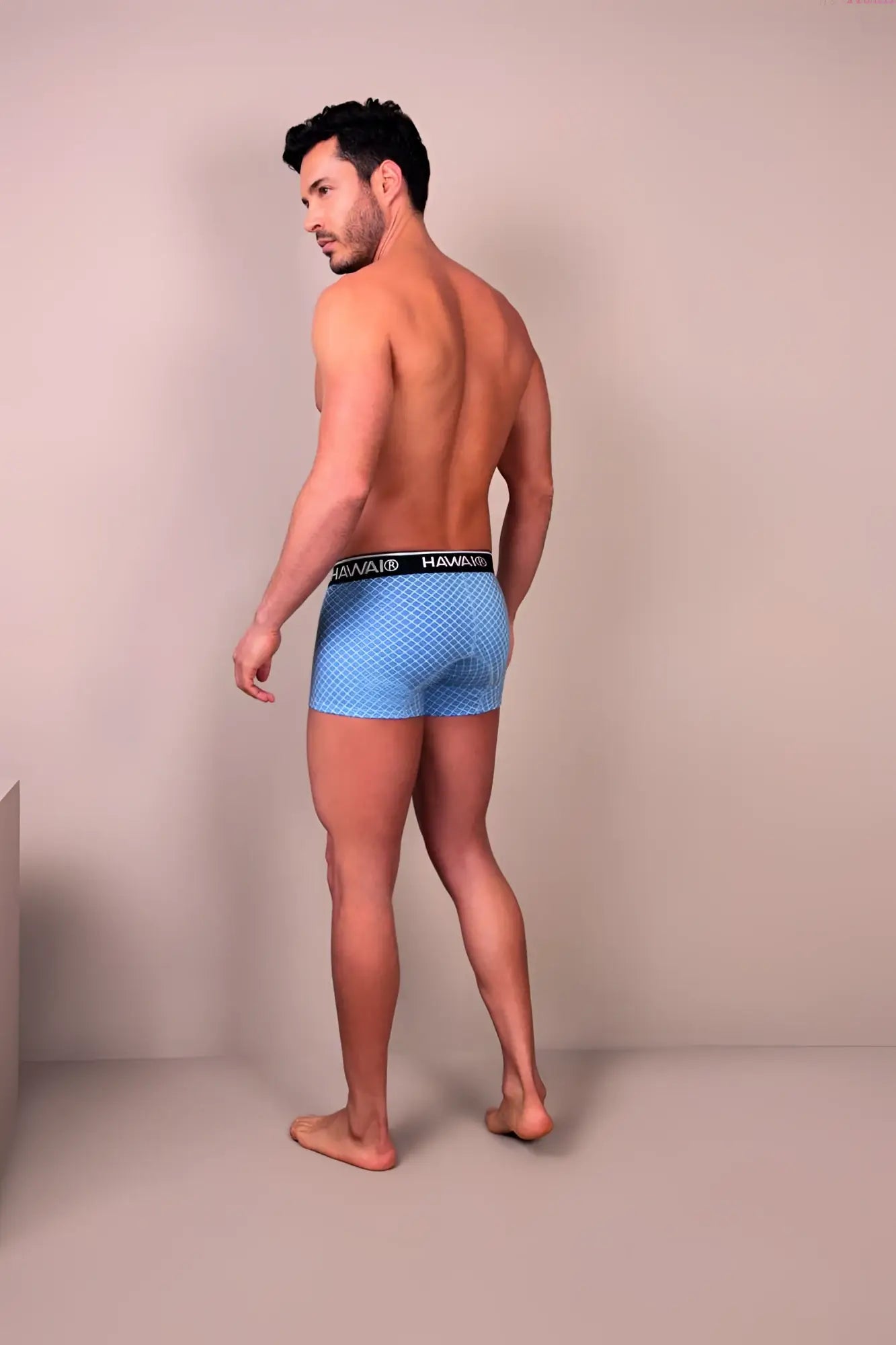 Light blue patterned hawai 42421 printed trunks boxer briefs with black elastic habanos branded waistband