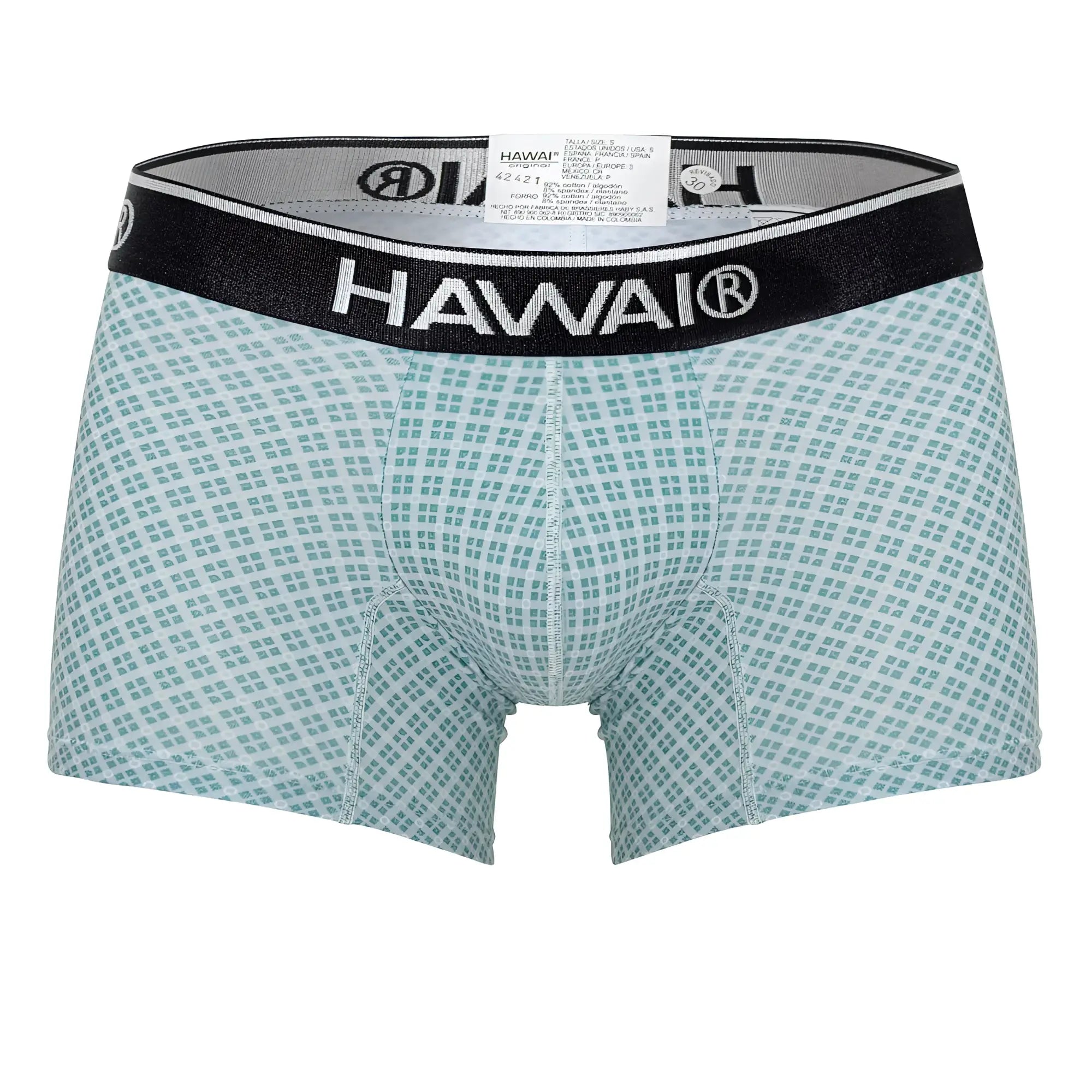 Hawaii 42421 printed trunks men’s boxer briefs in light teal and white checkered pattern with black elastic waistband