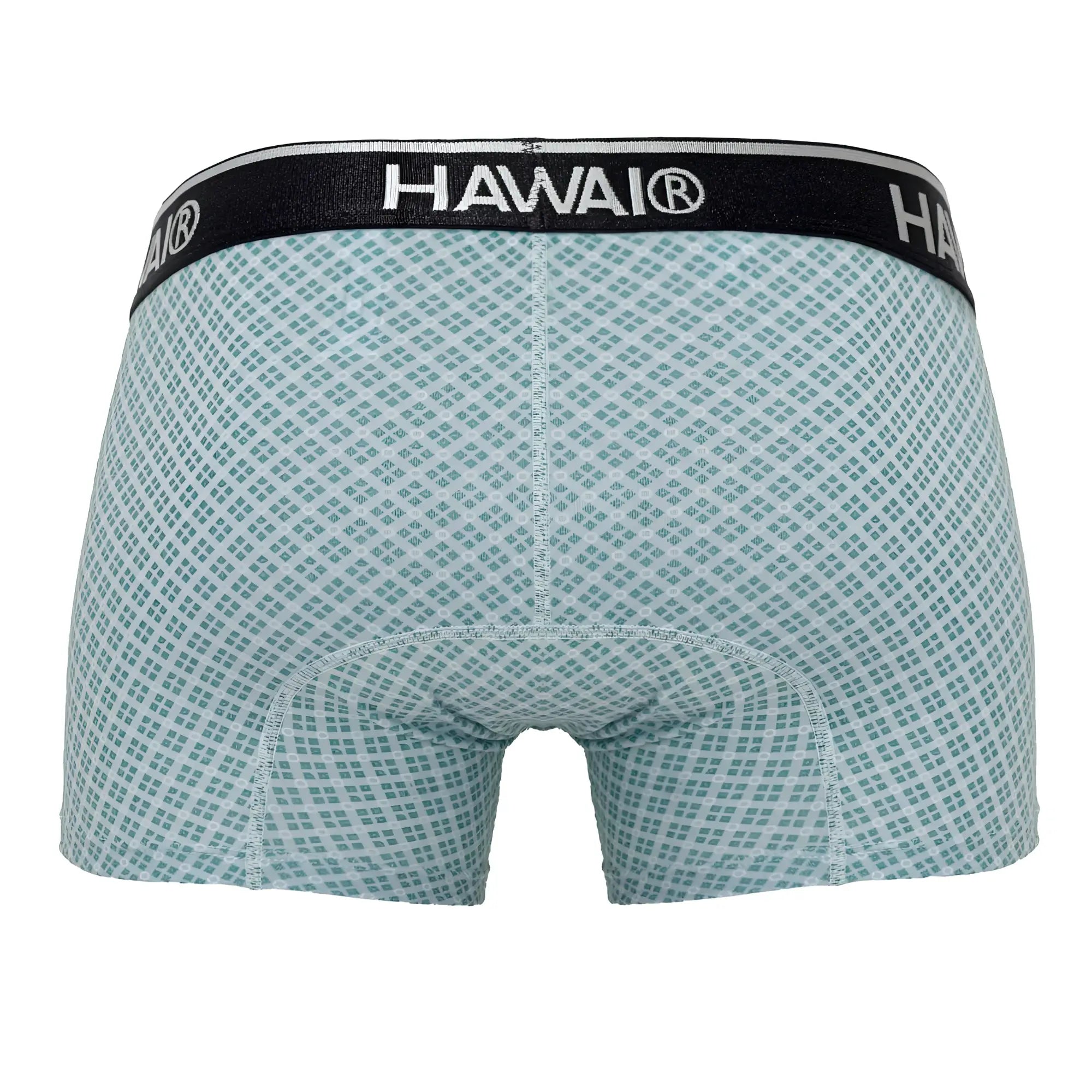 Light blue hawai 42421 printed trunks with subtle geometric pattern and black waistband featuring hawai brand name