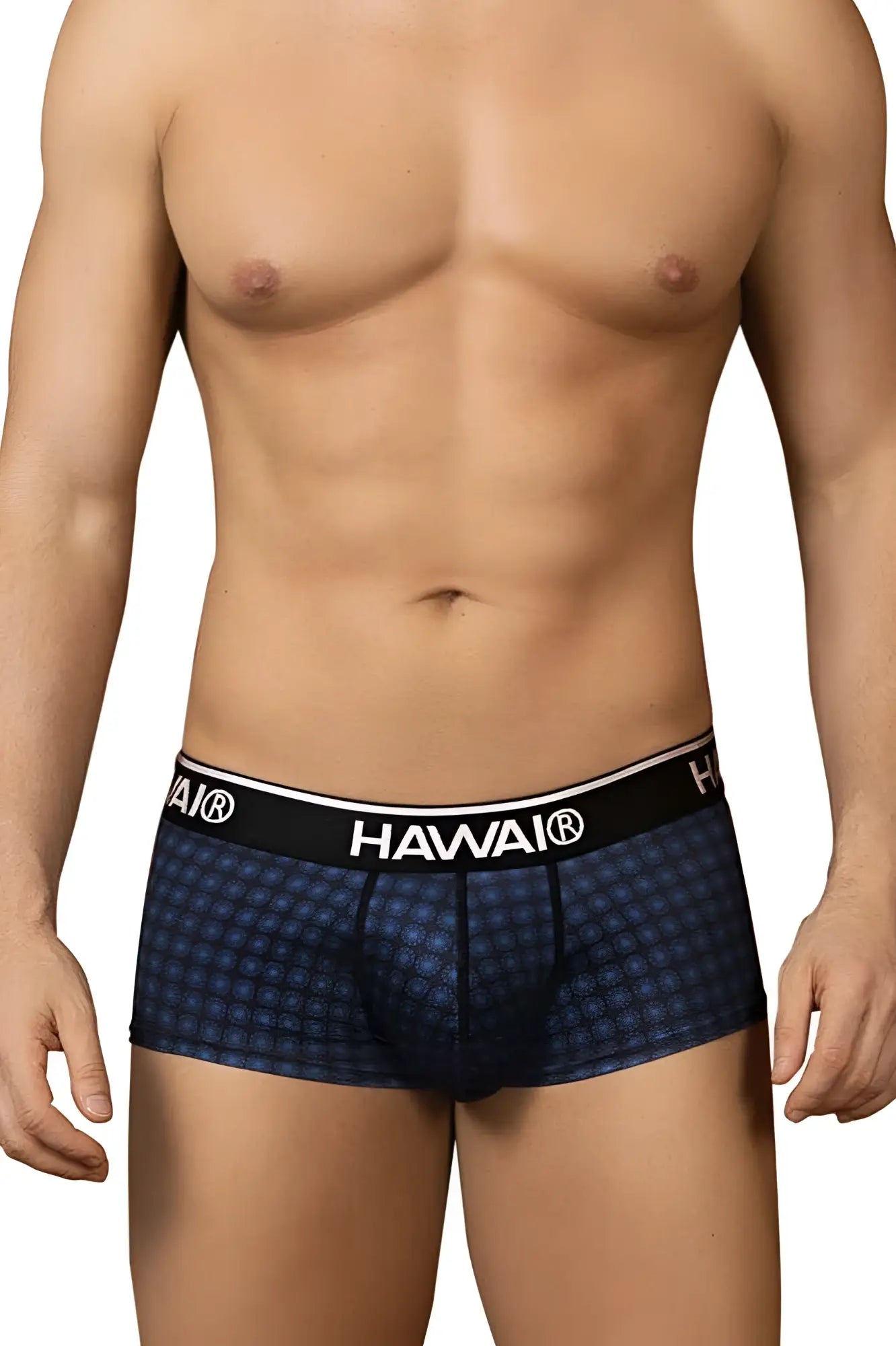 Blue checkered hawai 42430 men’s briefs with black elastic waistband designed for comfortable everyday wear